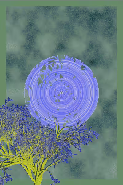 illusion #4