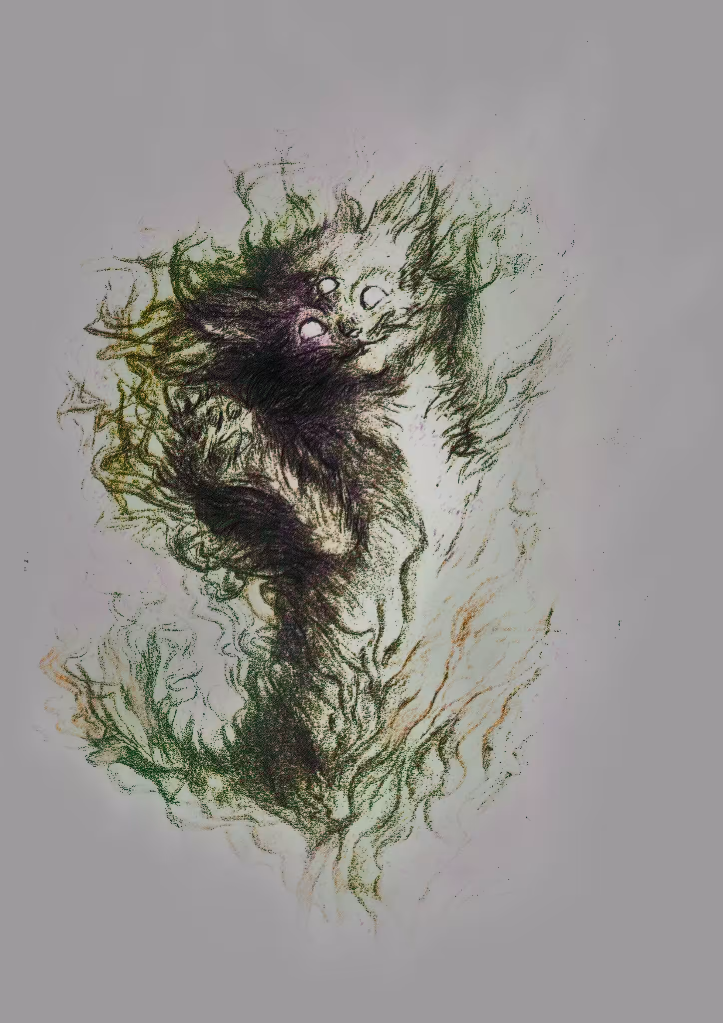 Kitten 