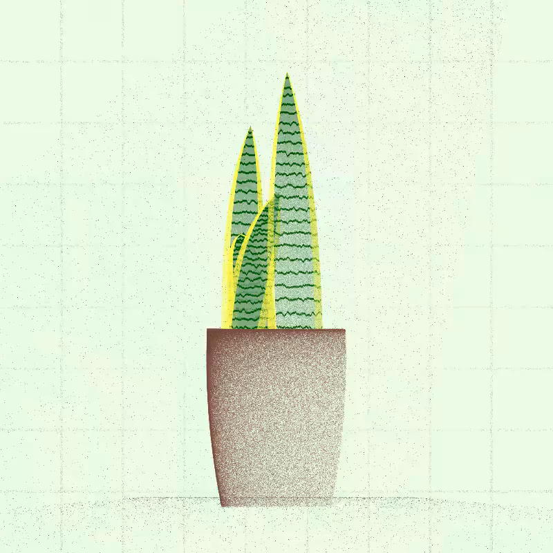 🌱 Potted & Printed #252