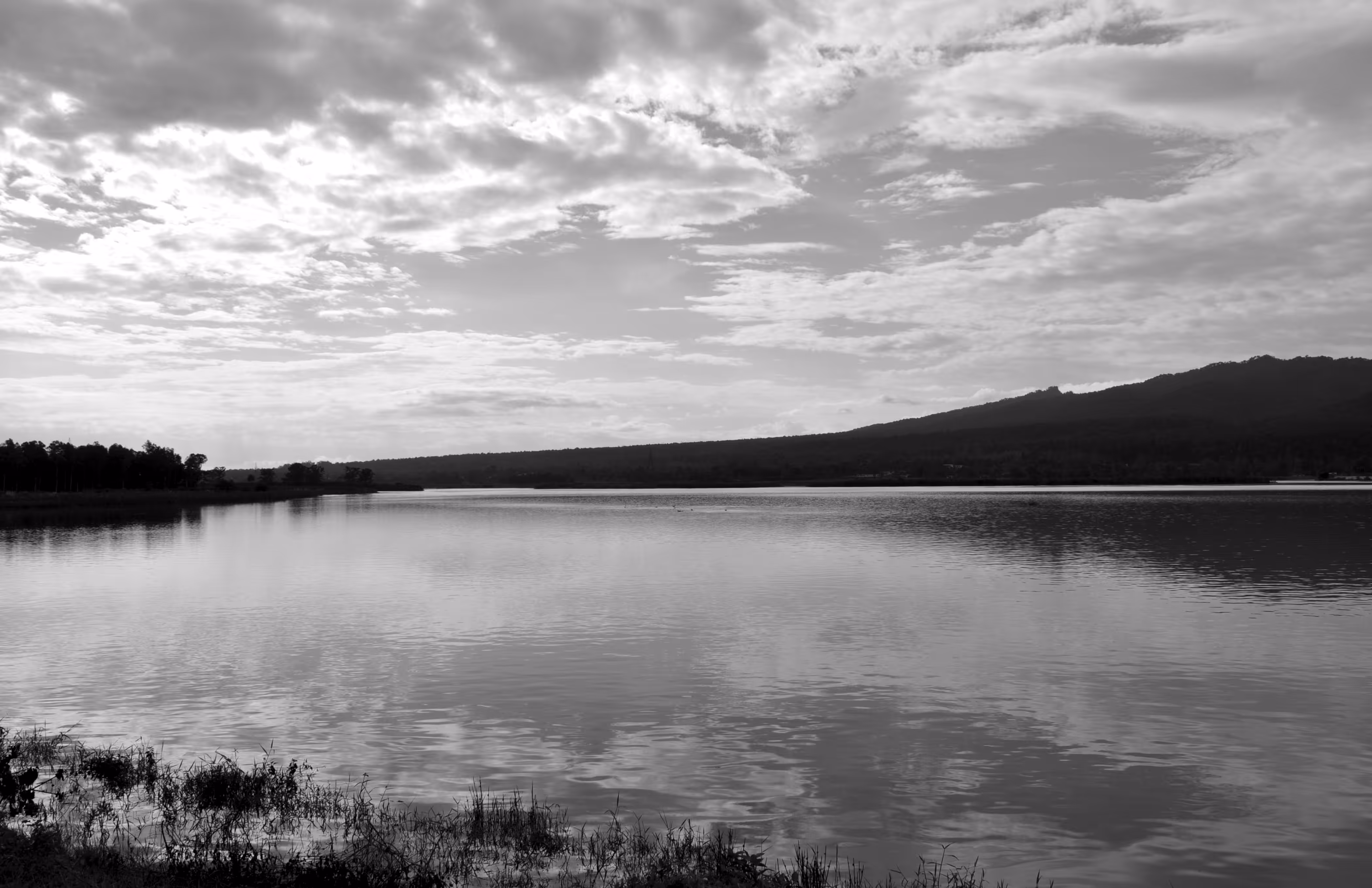 Bliss of nature #5