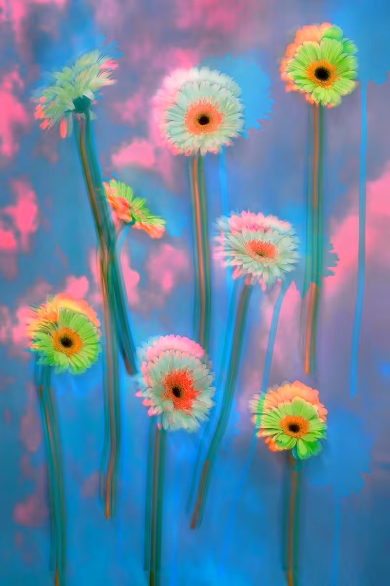 Sky Flowers