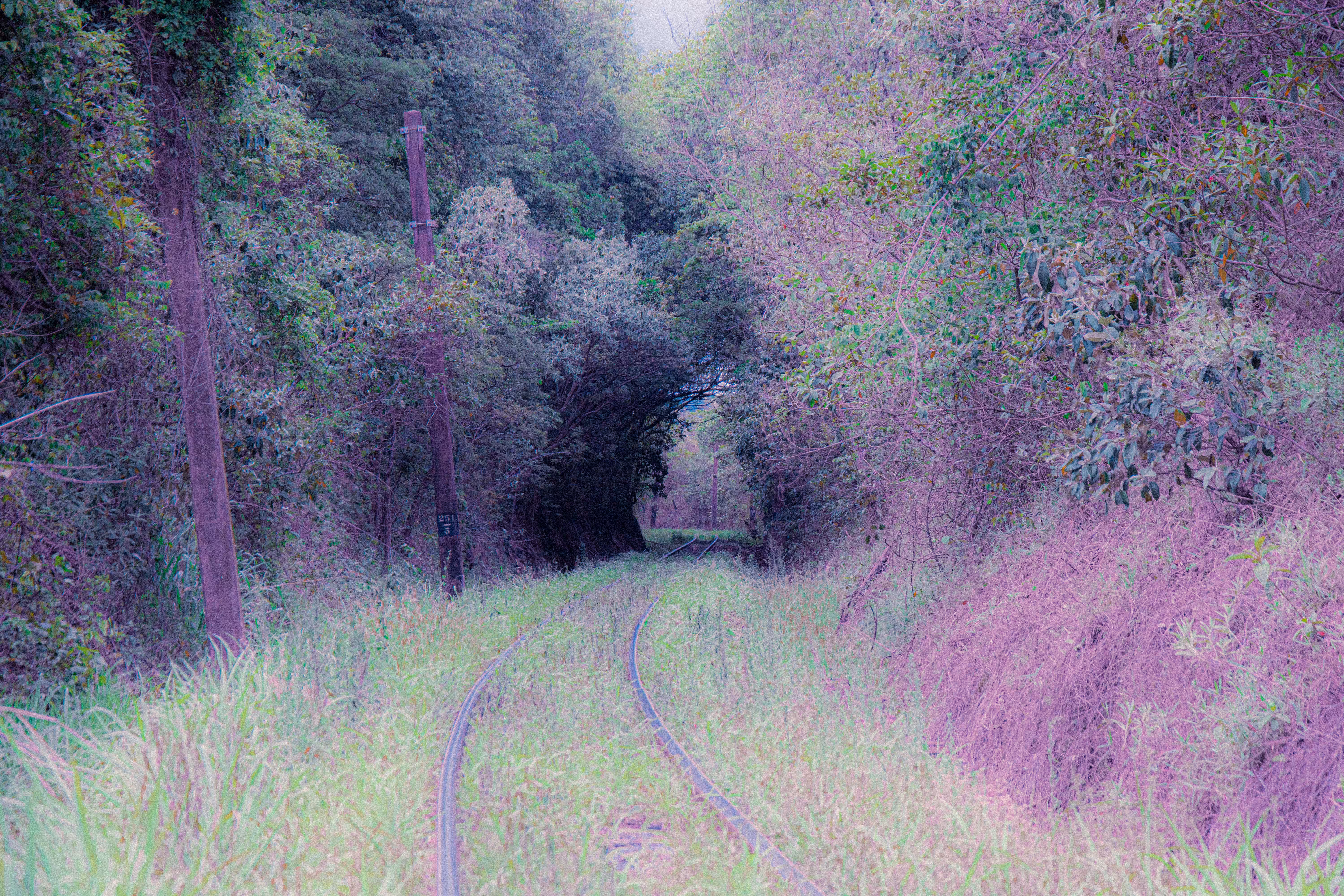 Portal.1