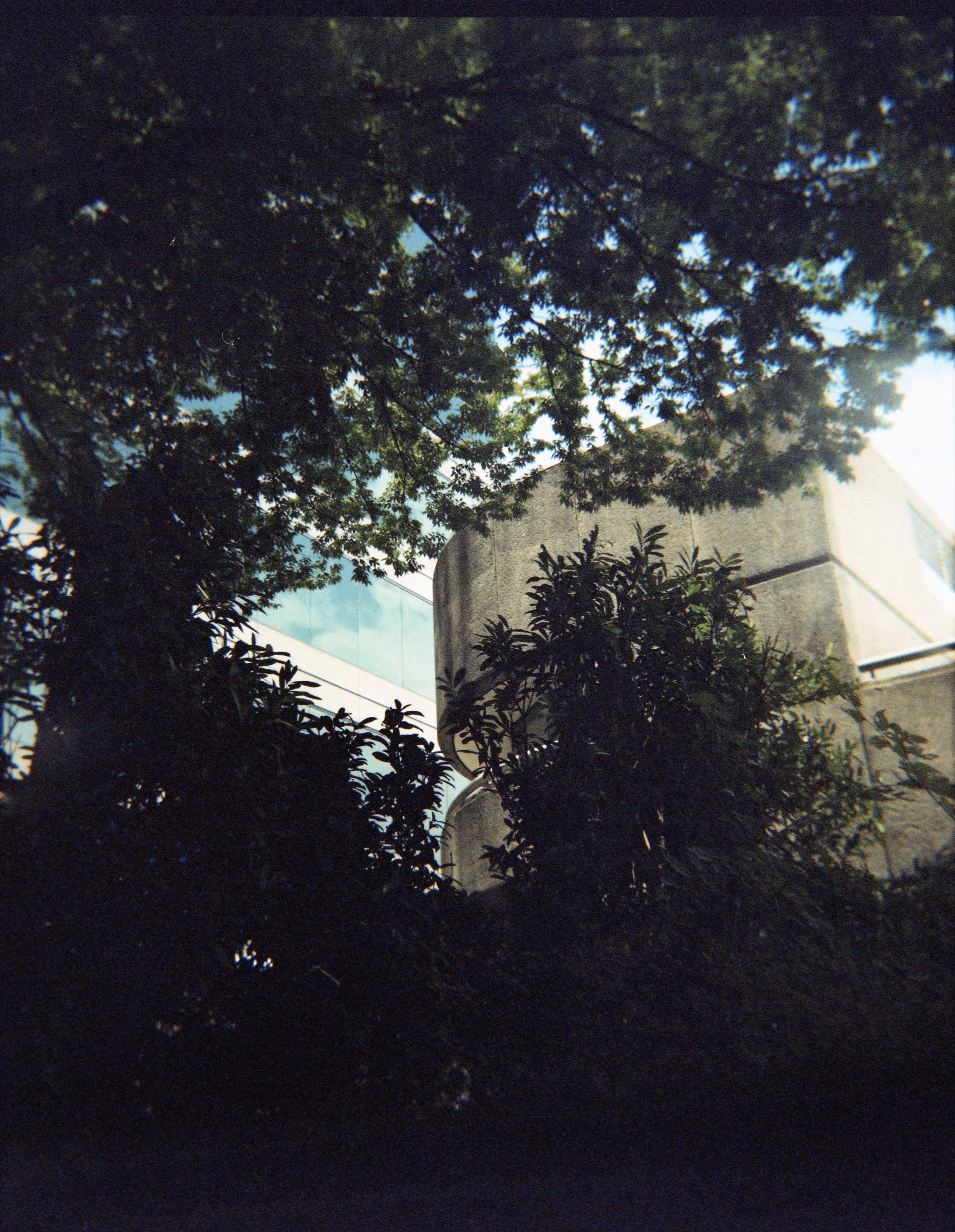 Shot on Holga #10: Hidden Light 