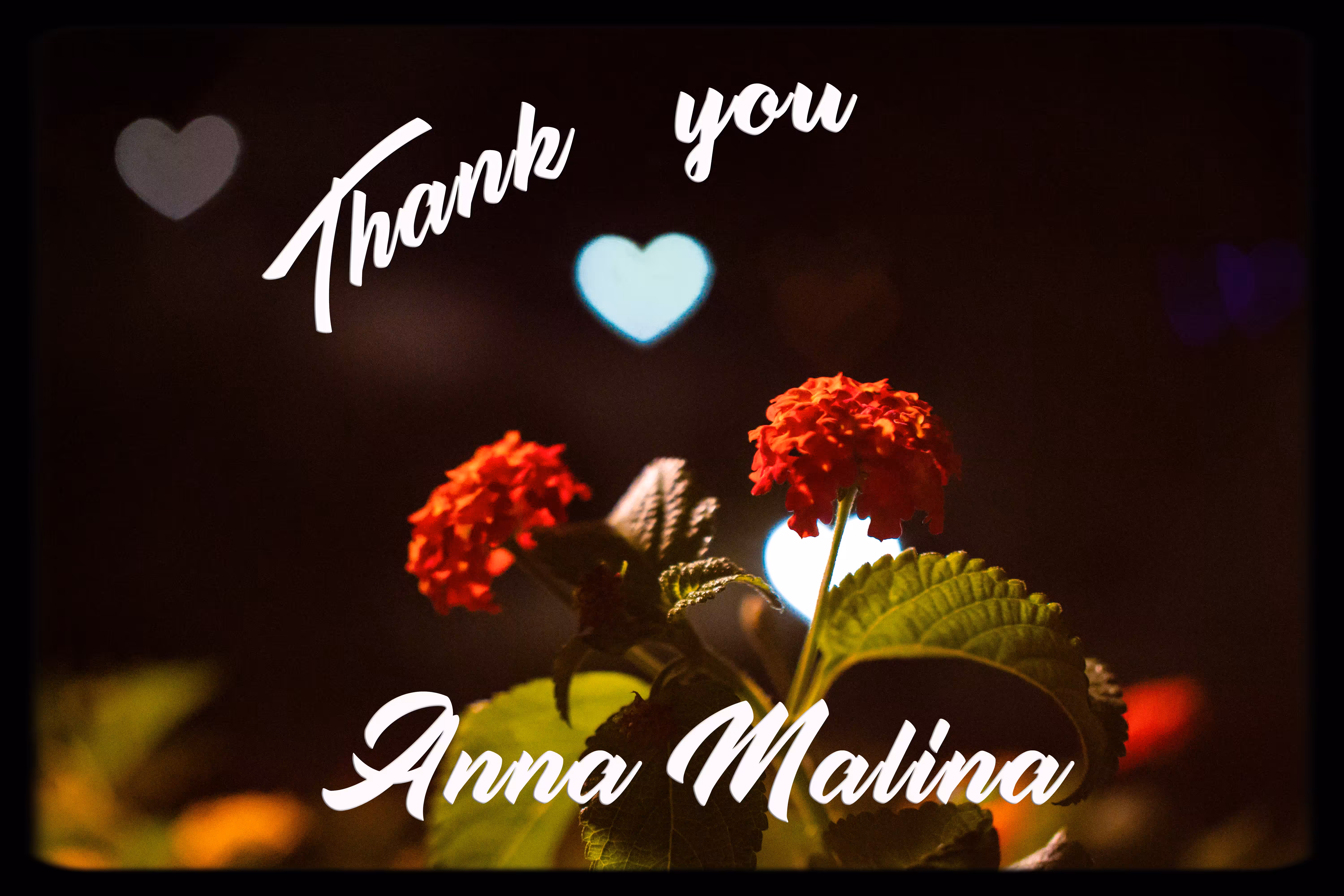 Thank You Anna Malina