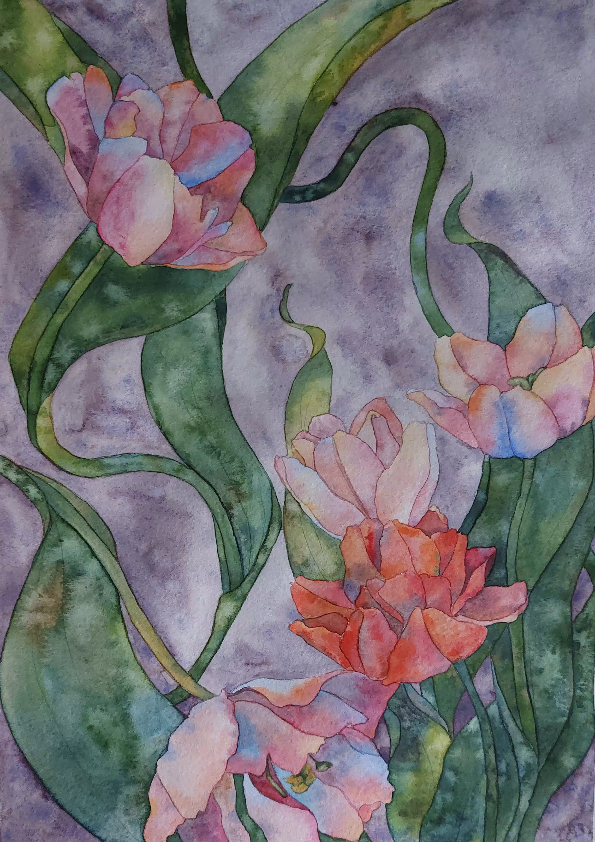 tulip field