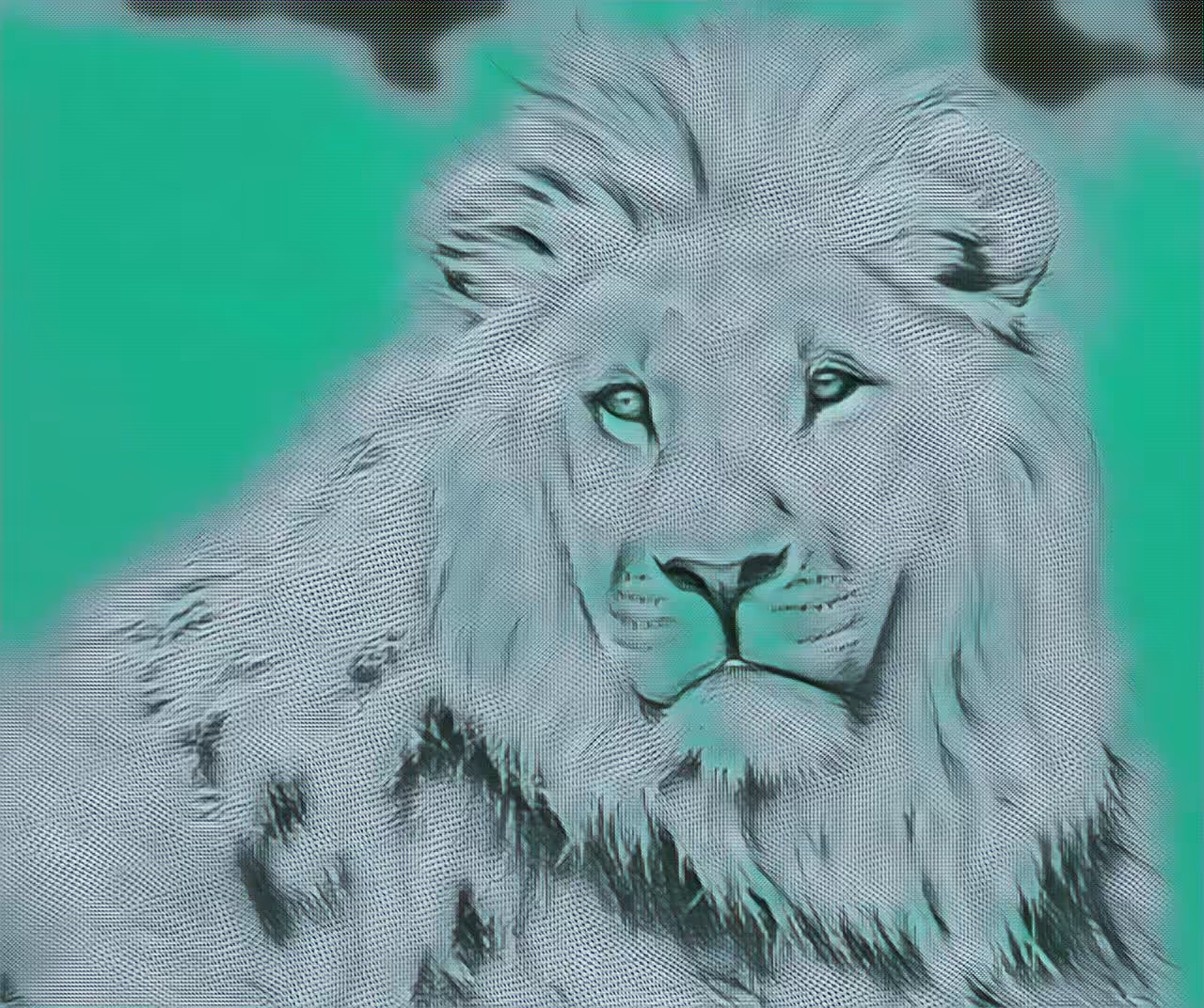 Snow lion.