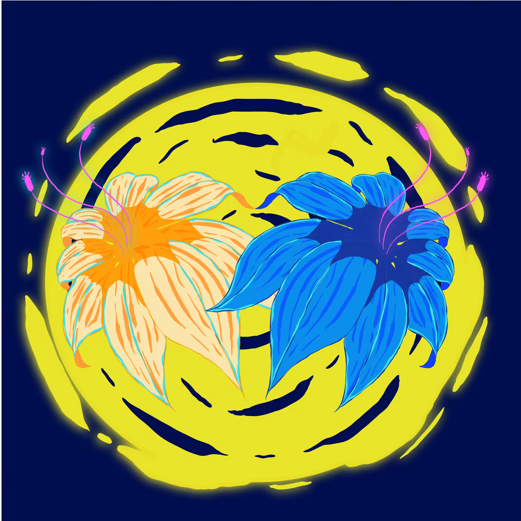 The Mythical Twin