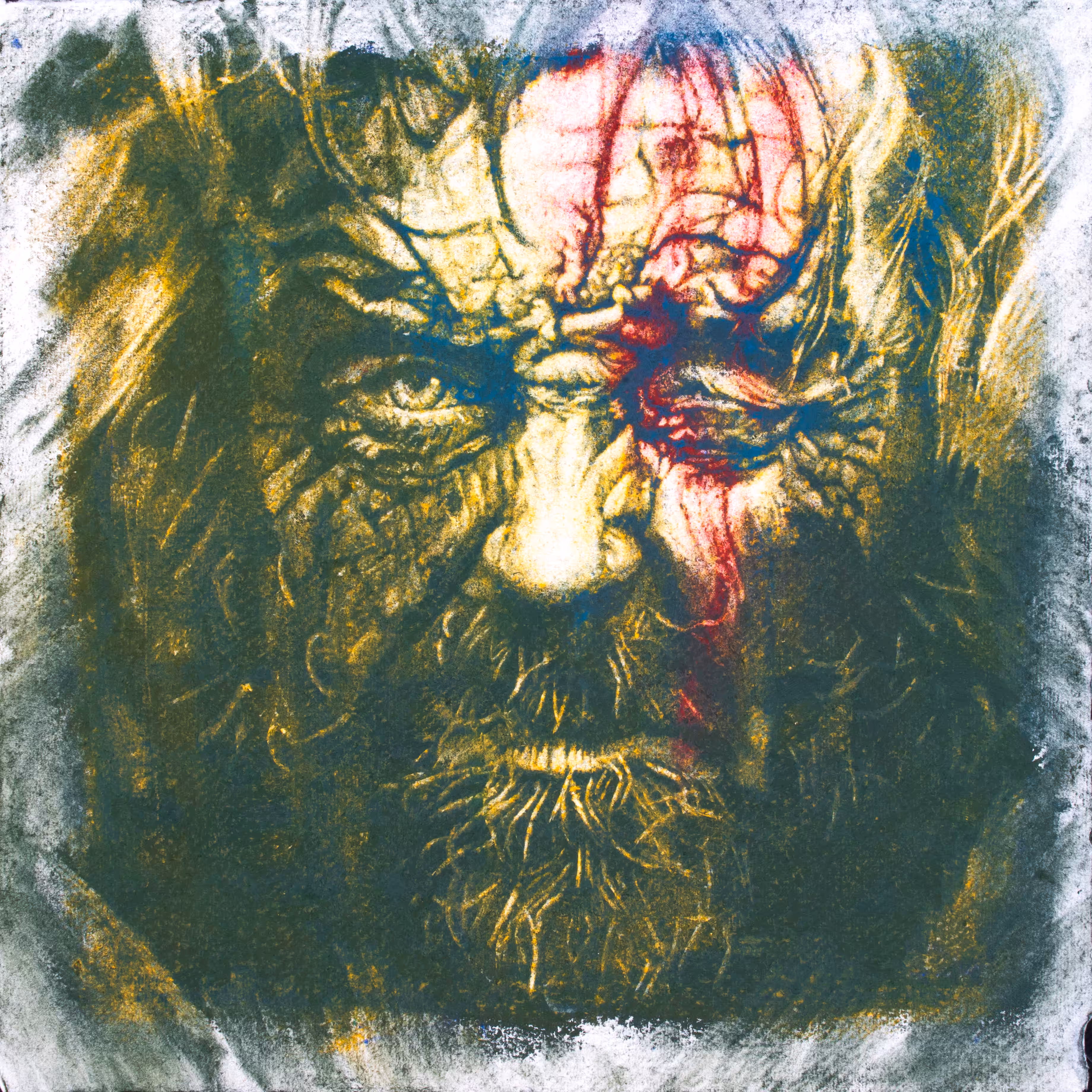 The Old Warrior