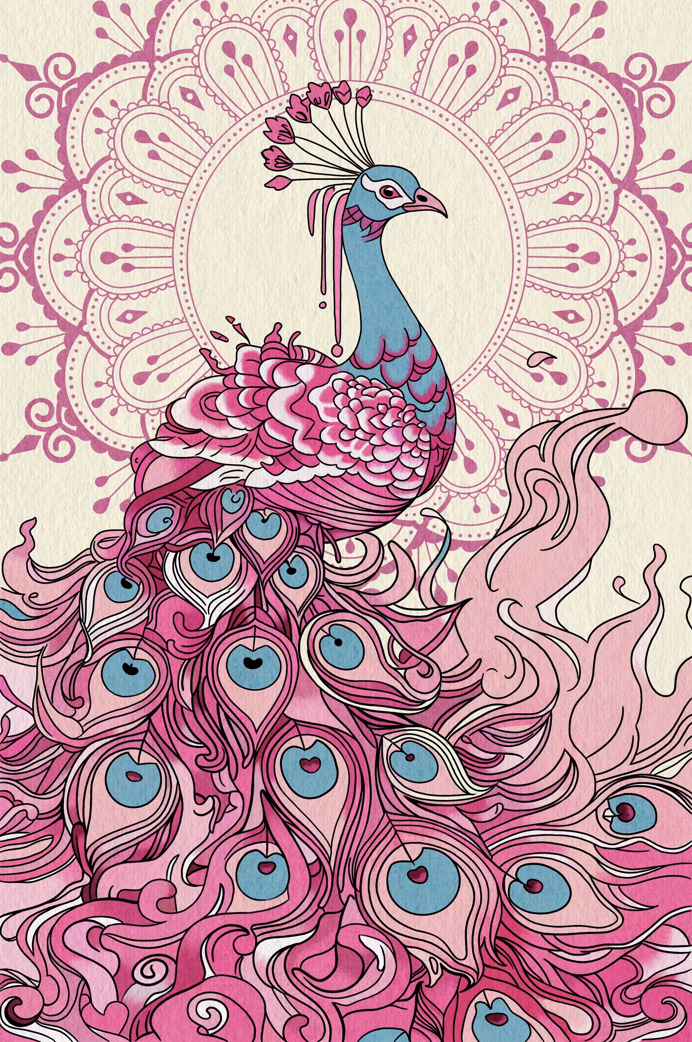 Indian peacock