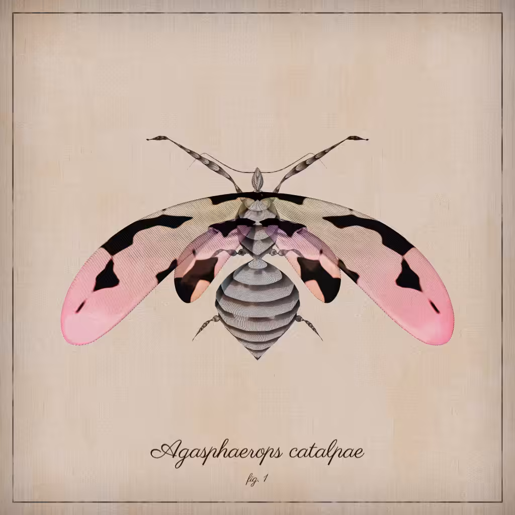ProcGen Entomology #211