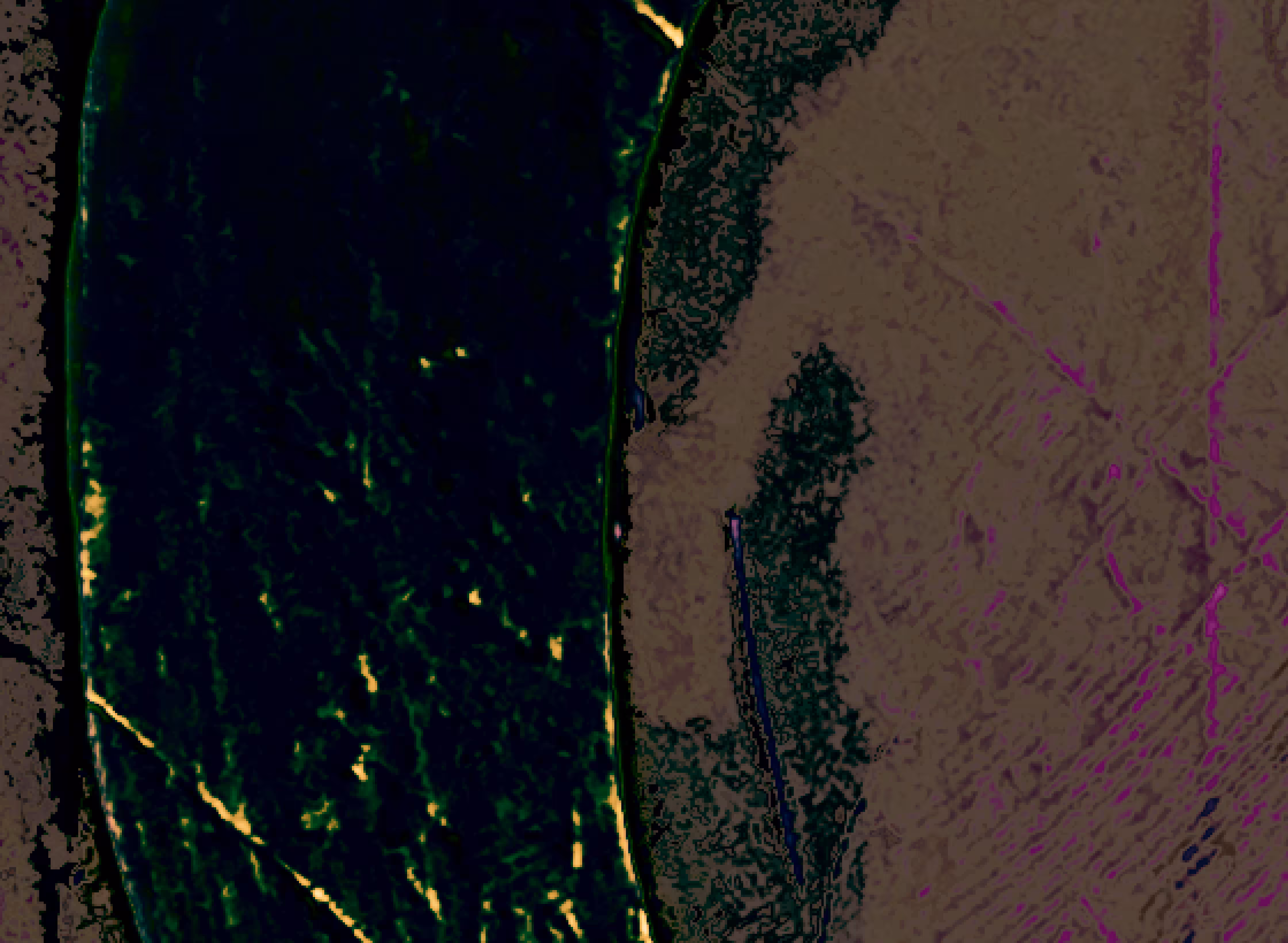 whirled territory #9