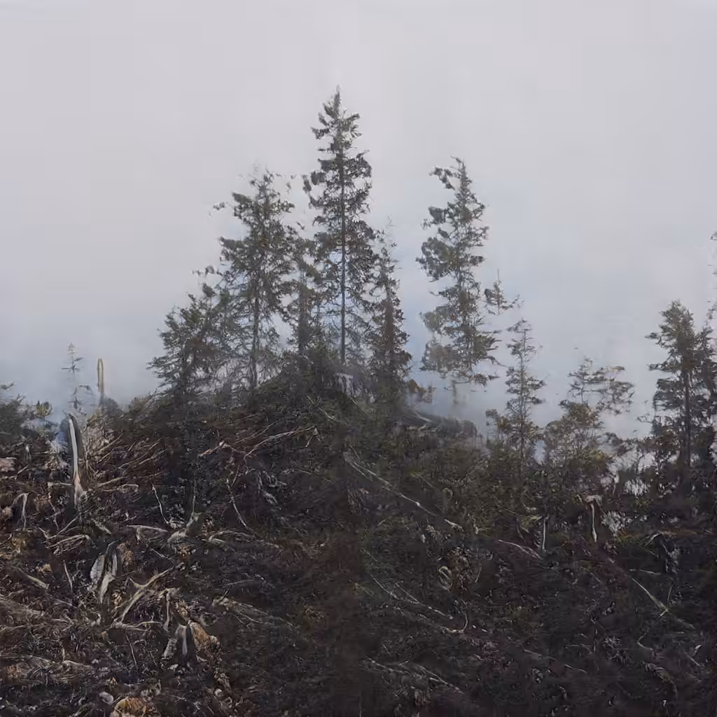 Fabricating Future Forests 0143