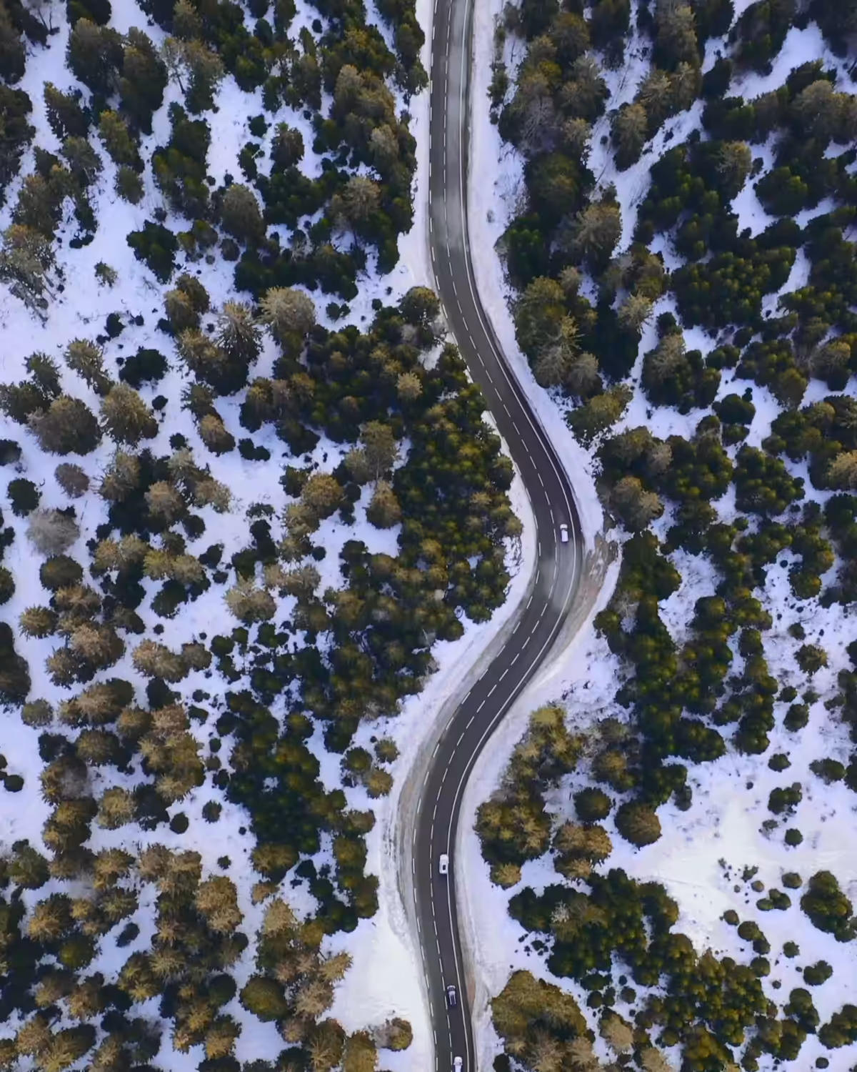 The Chase