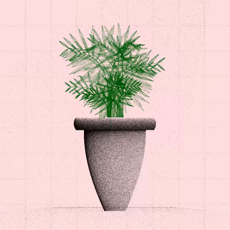 🌱 Potted & Printed #367
