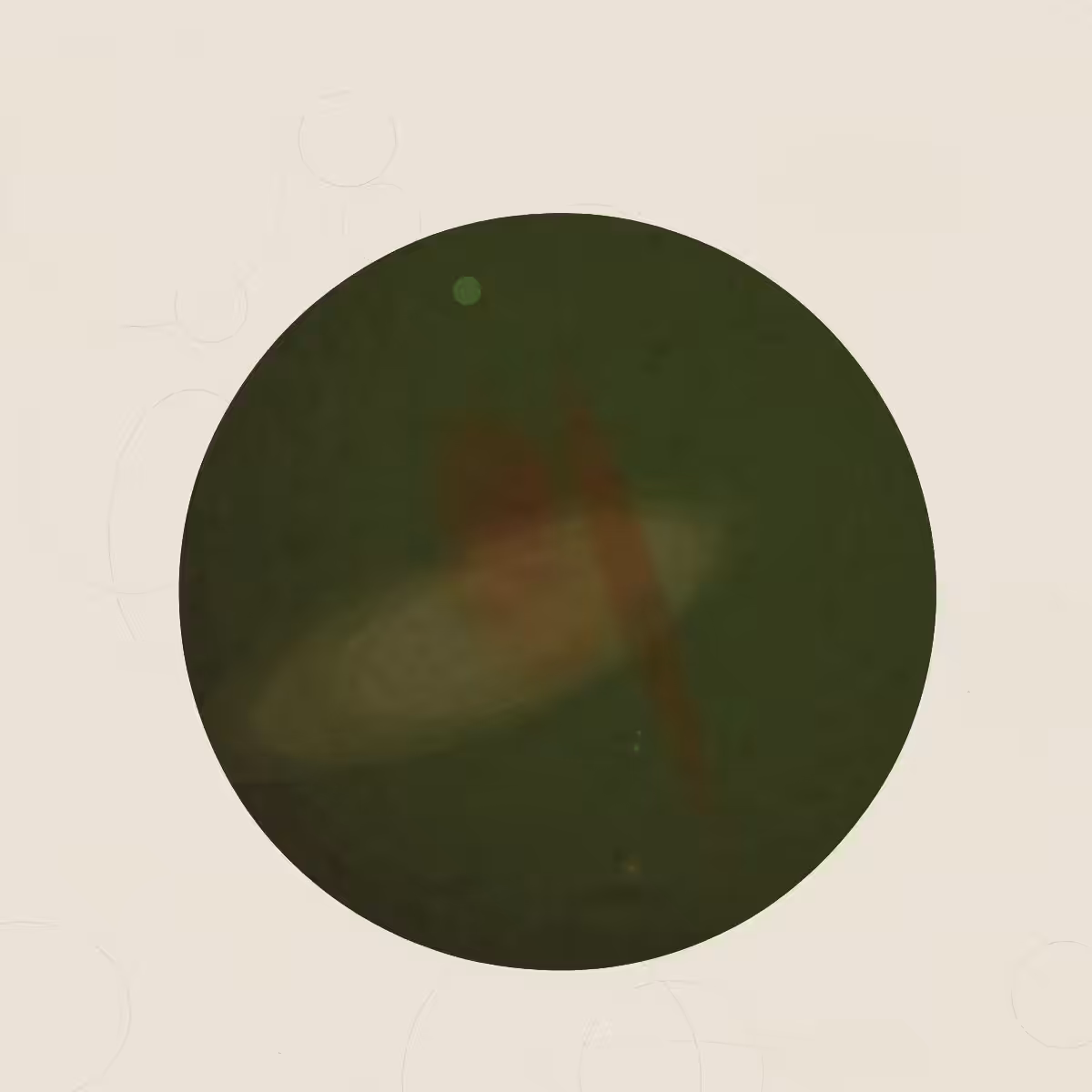 SYSTEMS #119