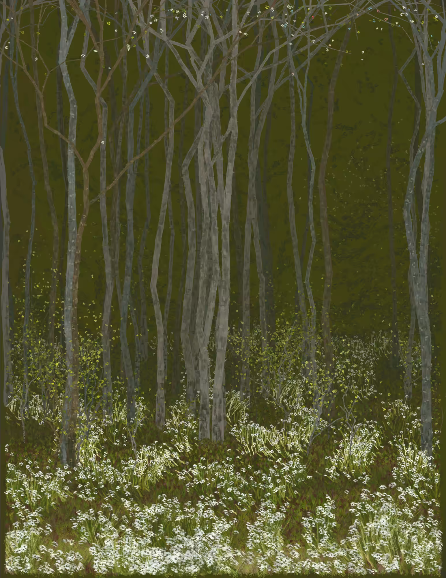 Deep Forest #349