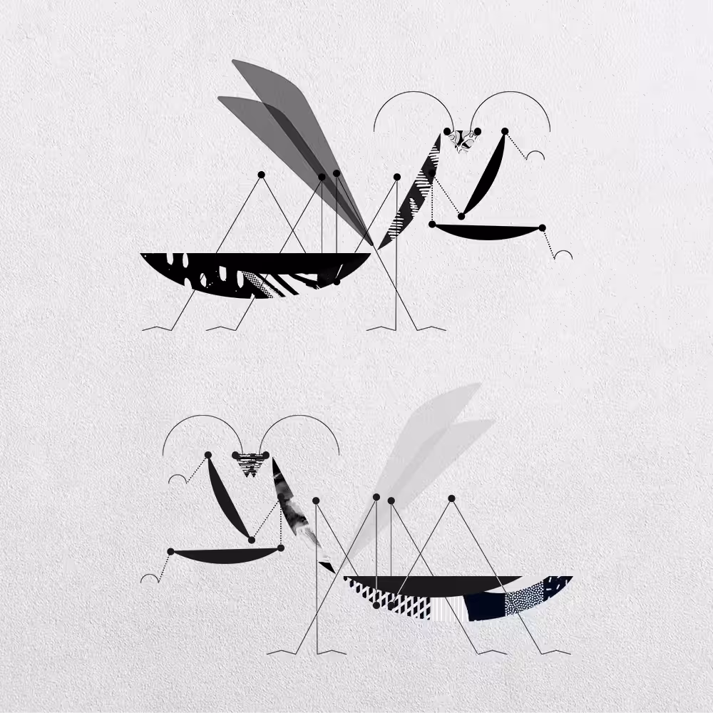 Mantis Abstraction #2