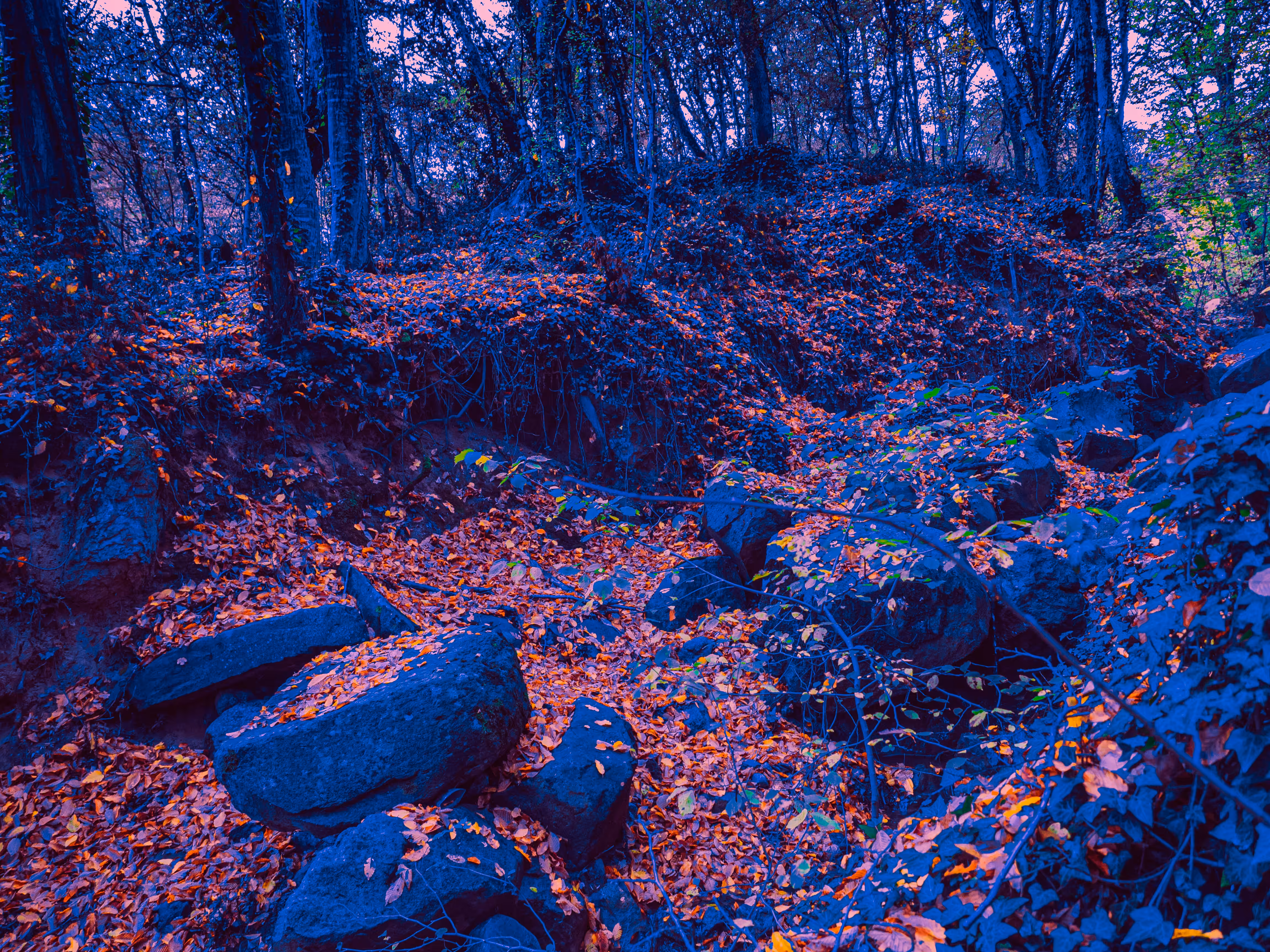 Autumn colors.