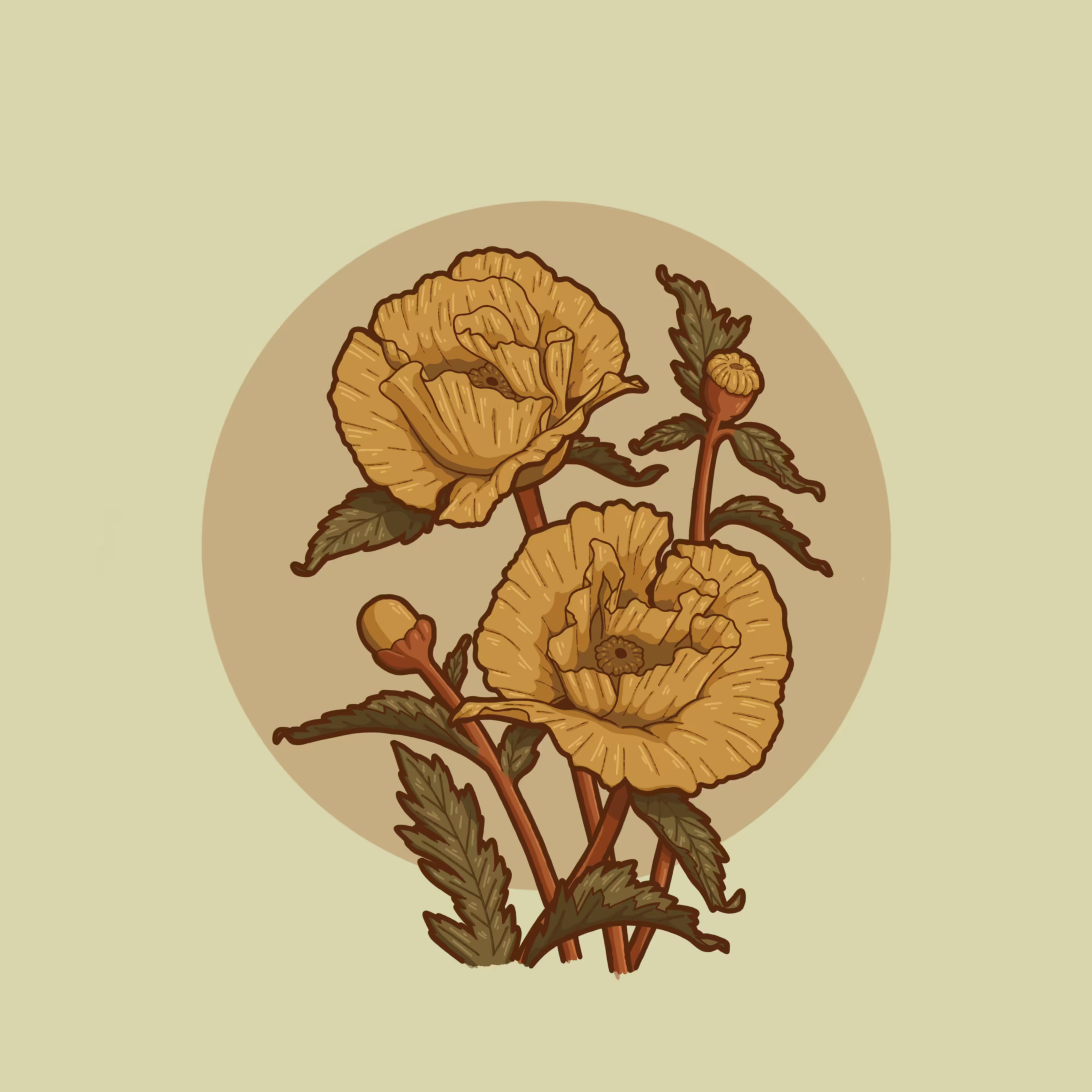 Poppy