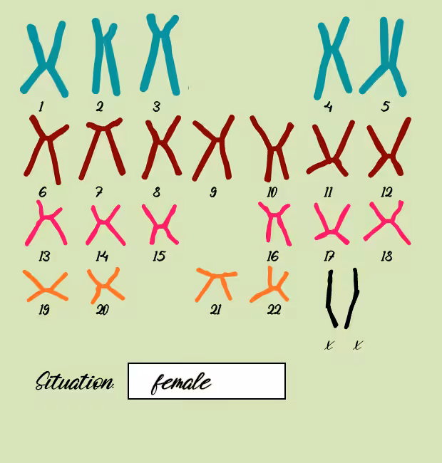 "Karyotype" #8