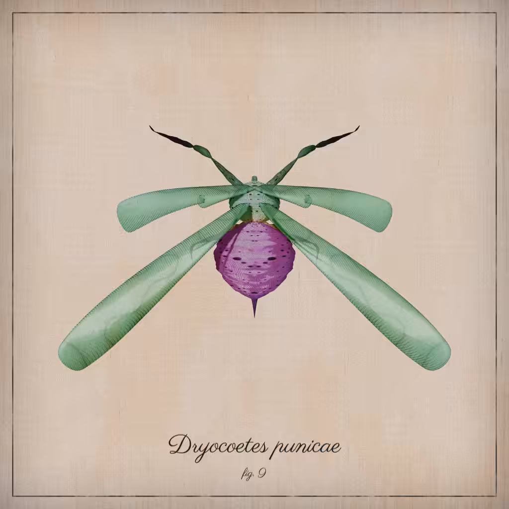 ProcGen Entomology #263