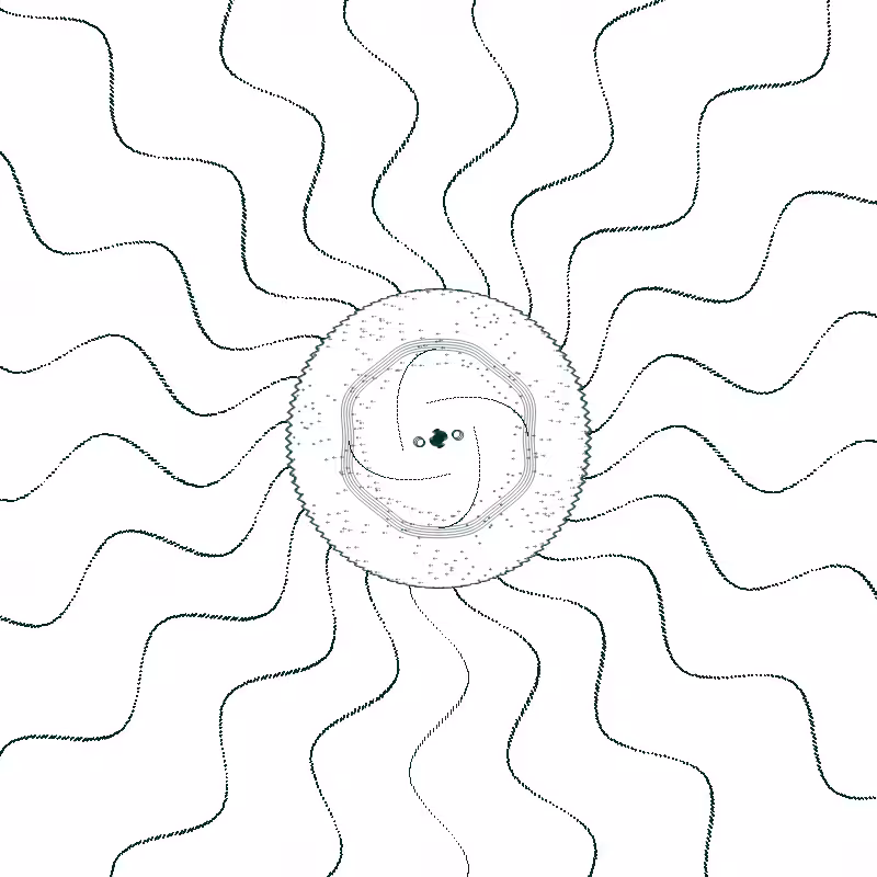 Diatom #3