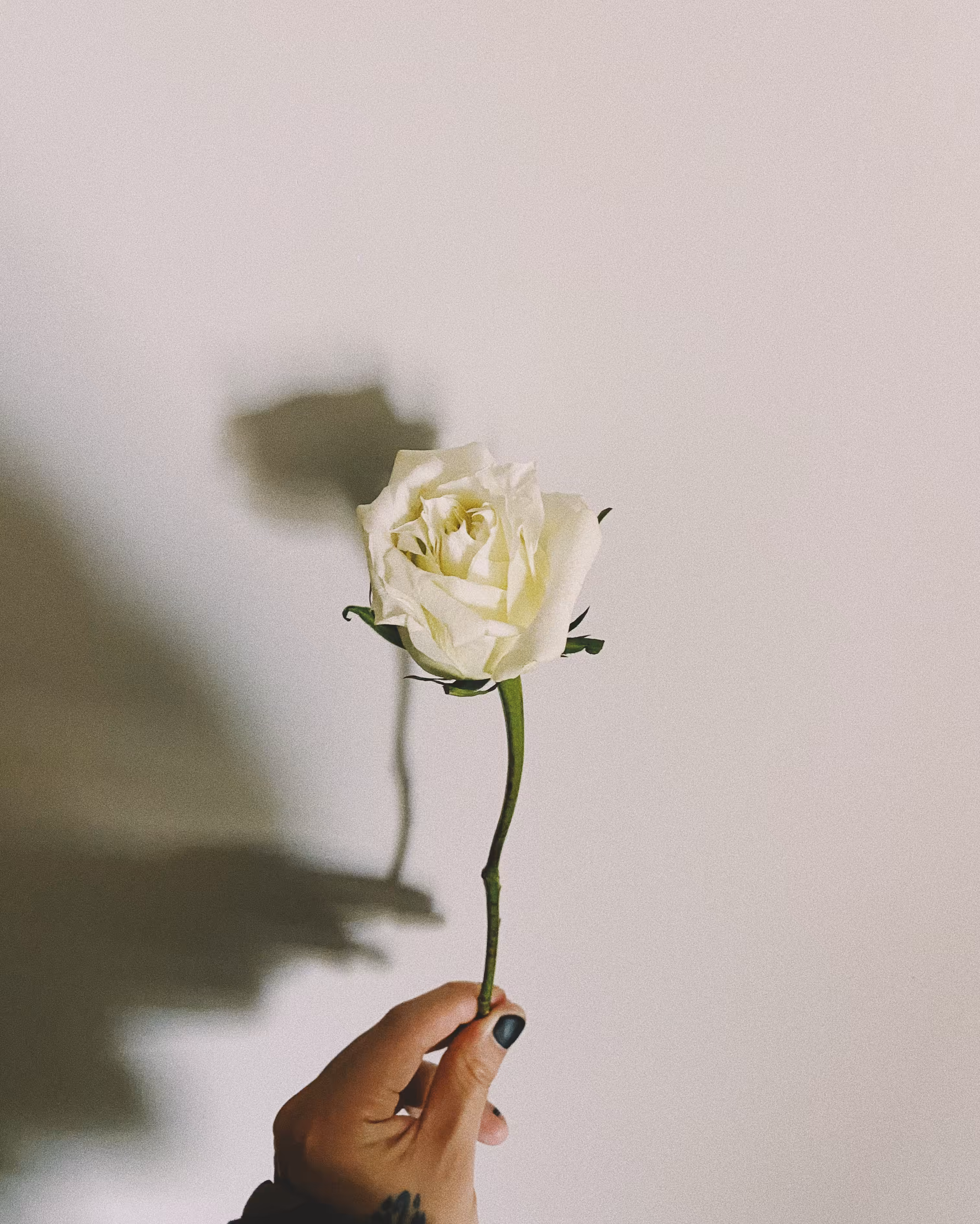 Flowers For You