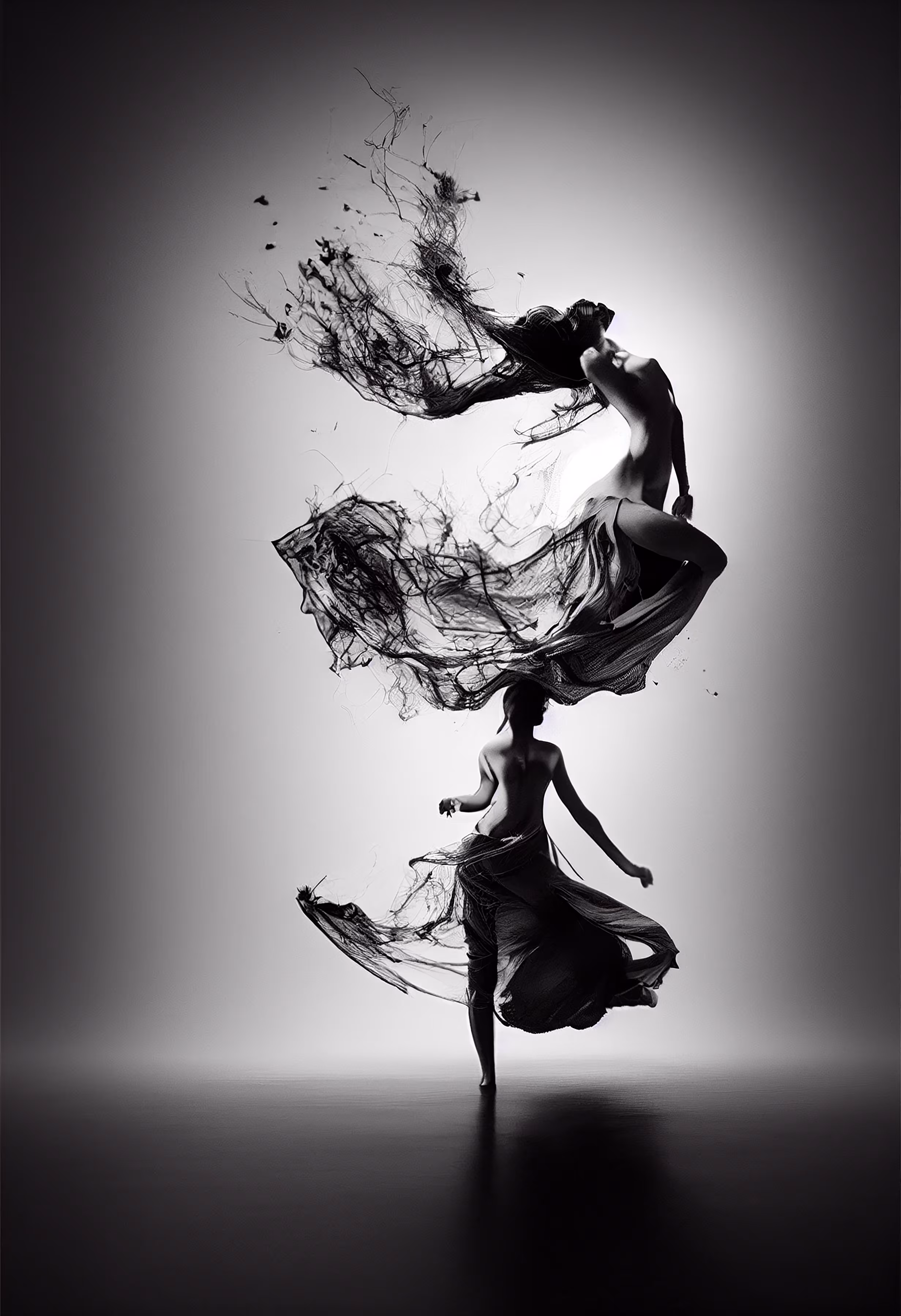 reinterpretation of beauty#1