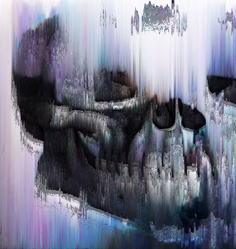 sorting skulls