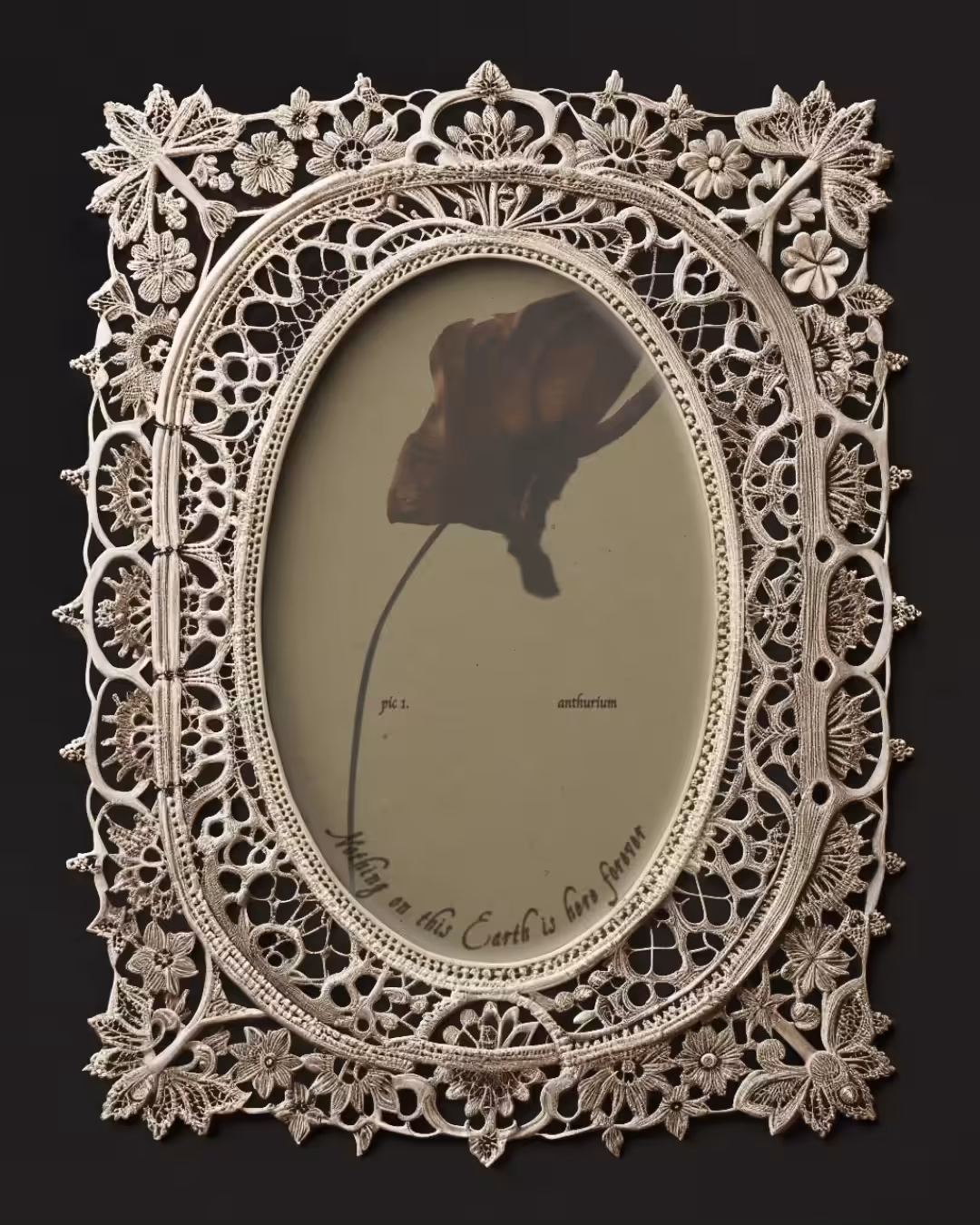 Flower study: antrium