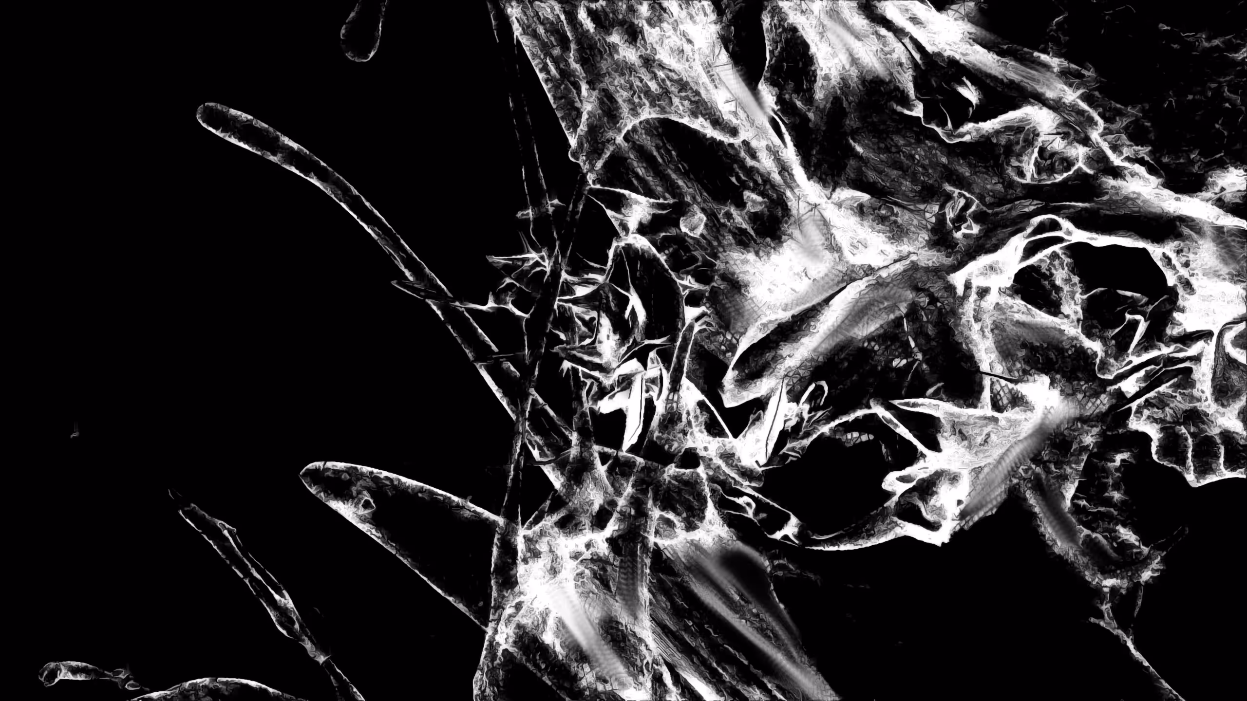 4:14__Birds