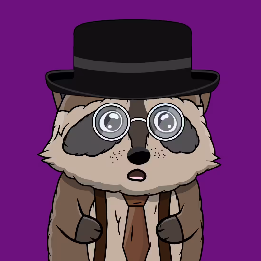 Special Raccoons: Giveaway Raccoon #4