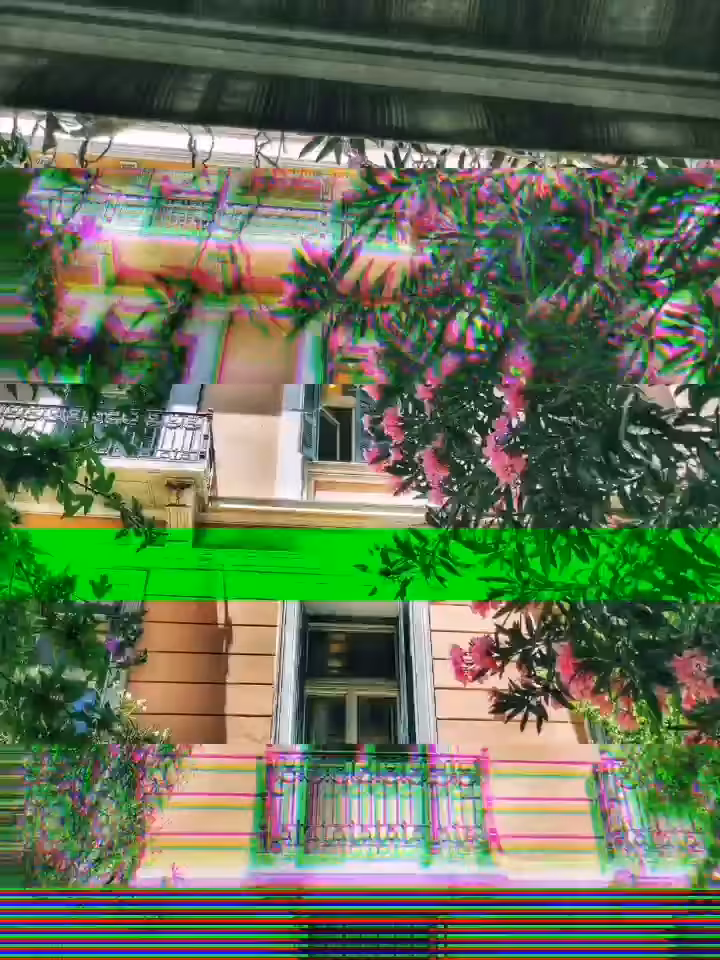 Elementary Street View I