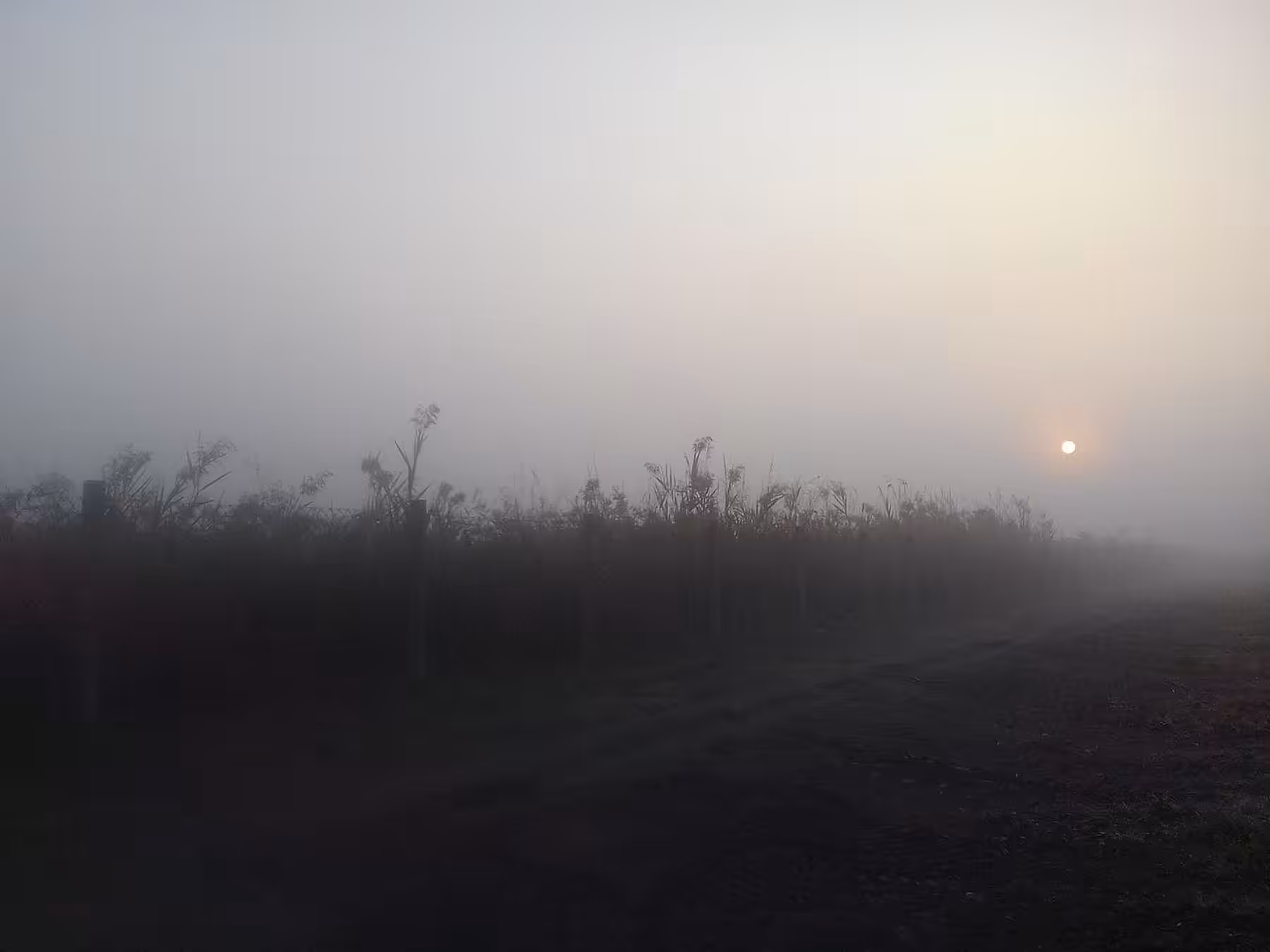 m(i/y)st(y/ic) sunrise