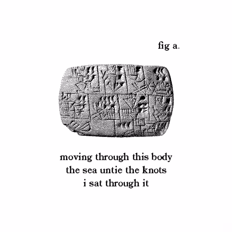 Translations of Figure A. #100