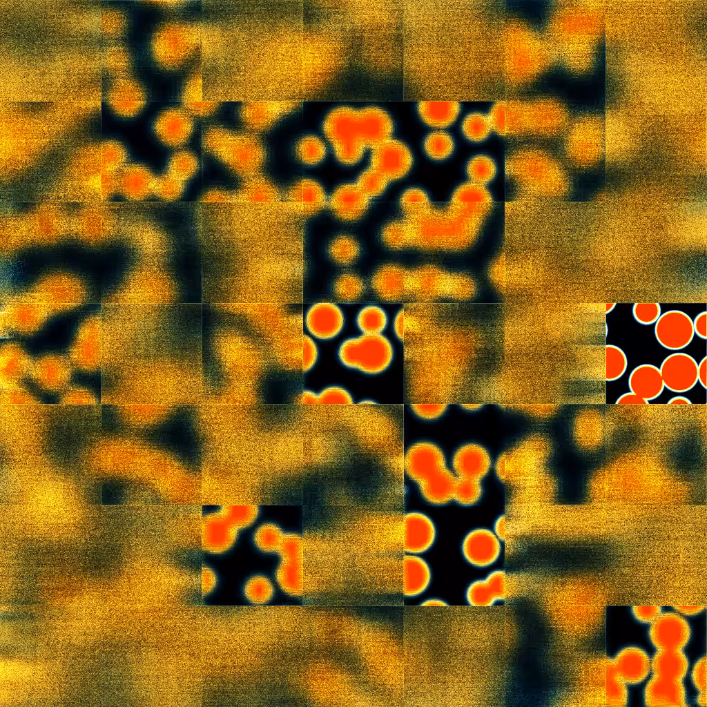 Bacterias #26