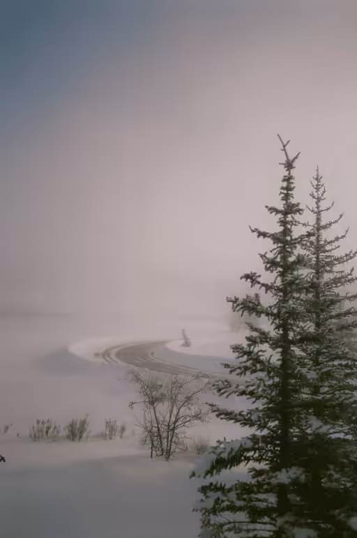 Winter Fog