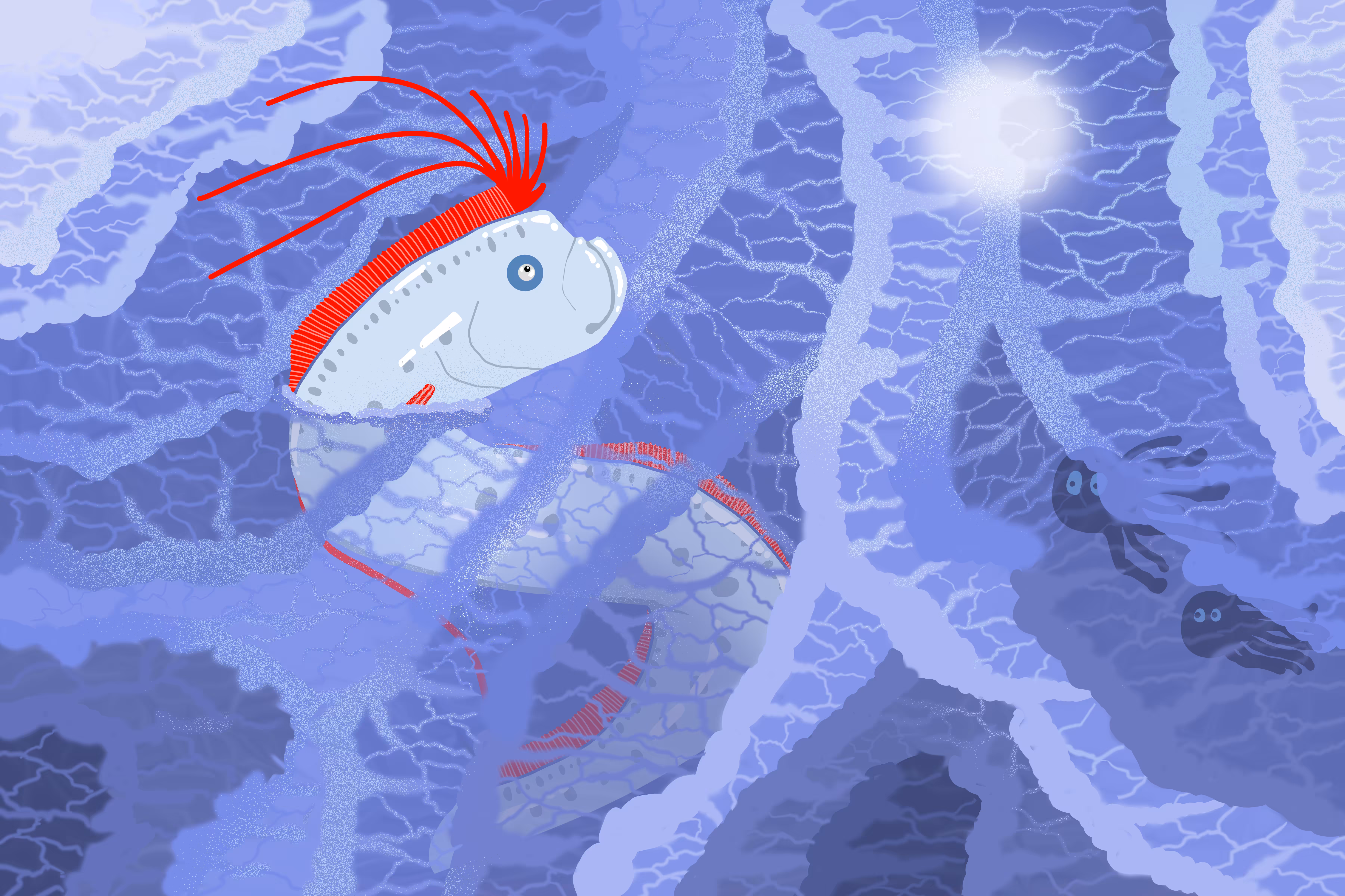 Oarfish Studies the Moon