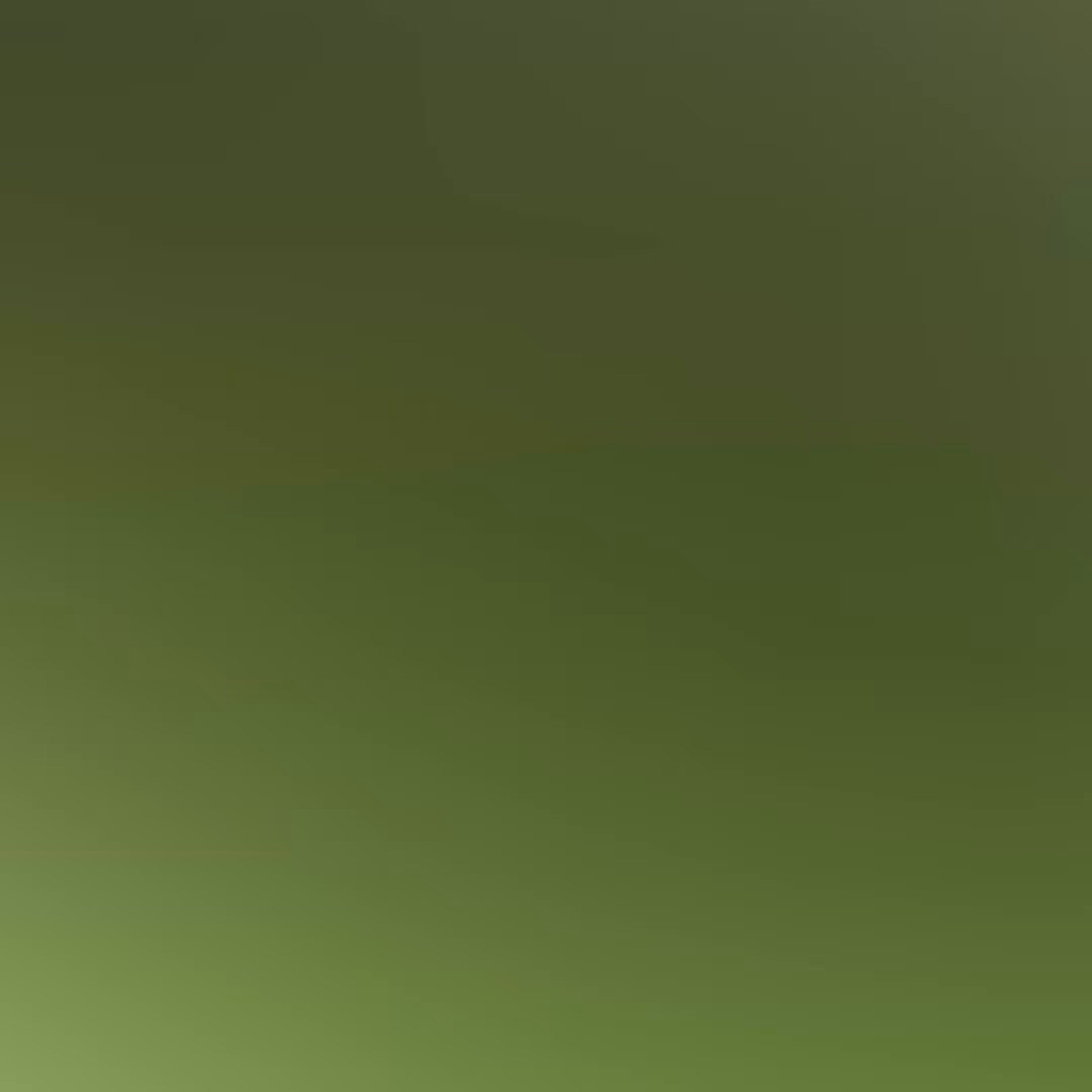Hexagonal Net