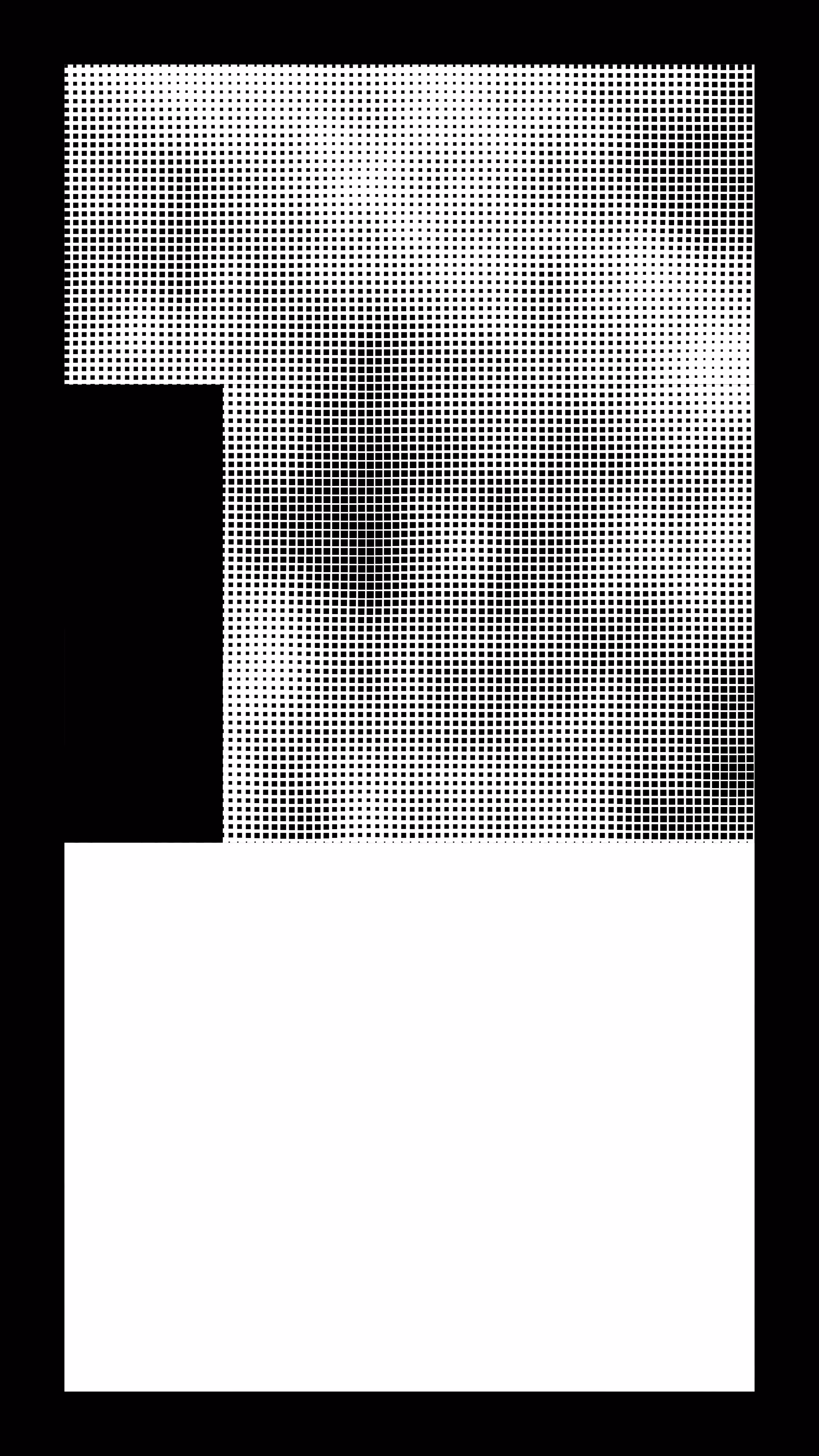 Blocks #113