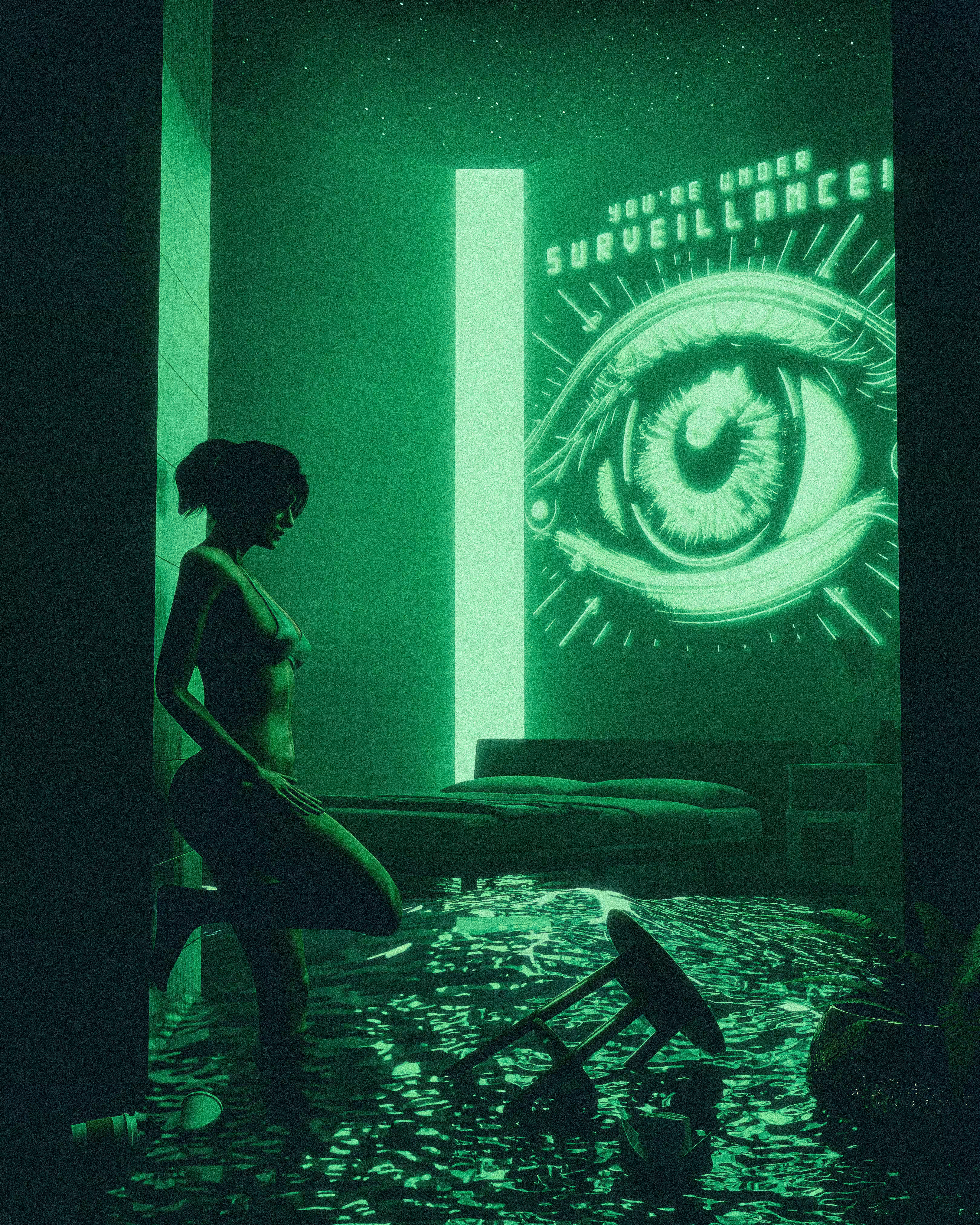SURVEILLANCE