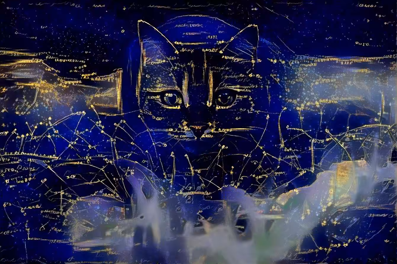 Cat in the Night Sky