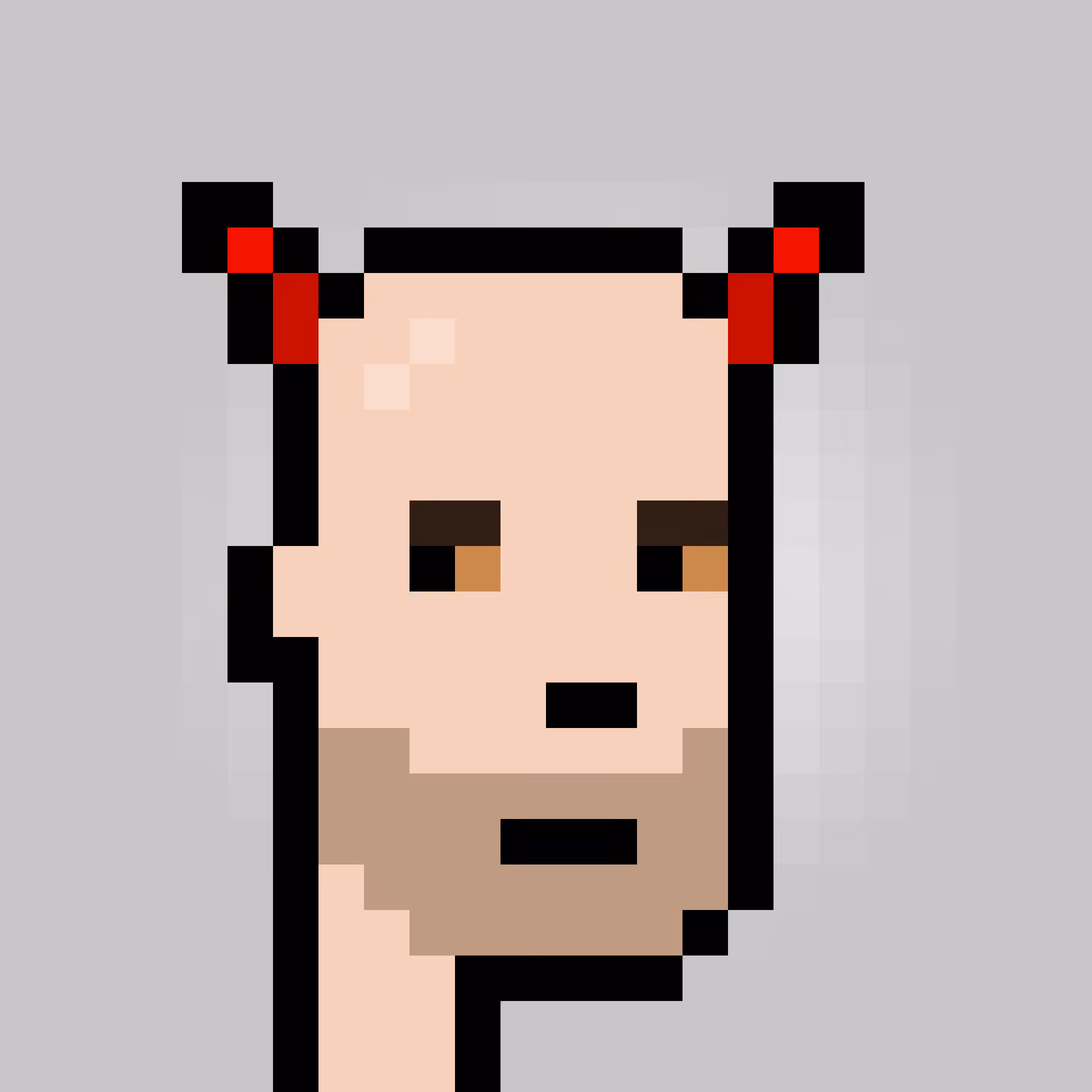 Unofficial Punks V2 #1411