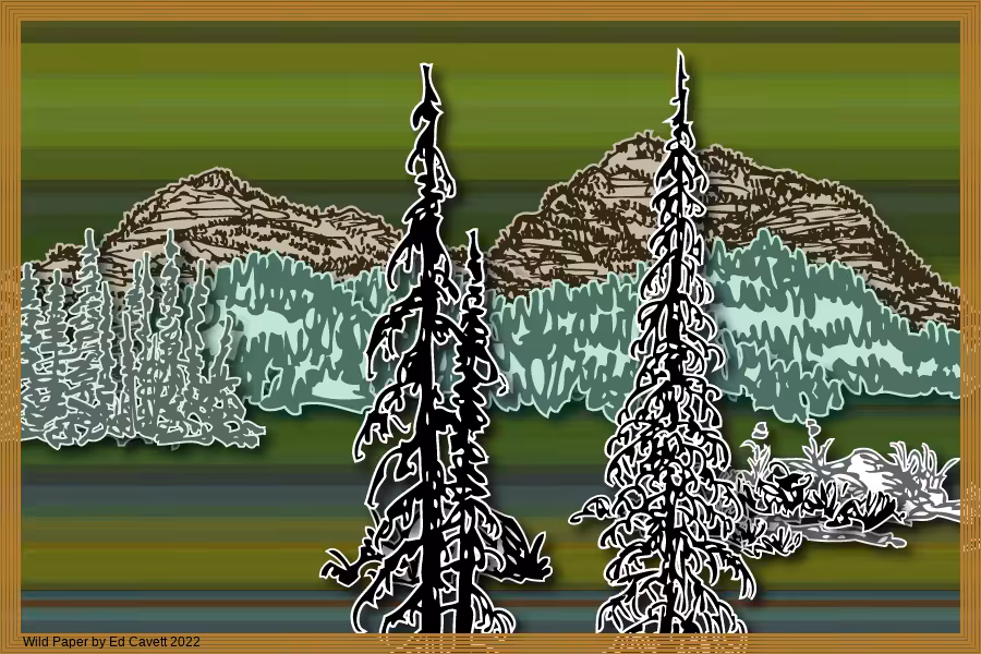 Capture Bigfoot - Wild Paper Series #35