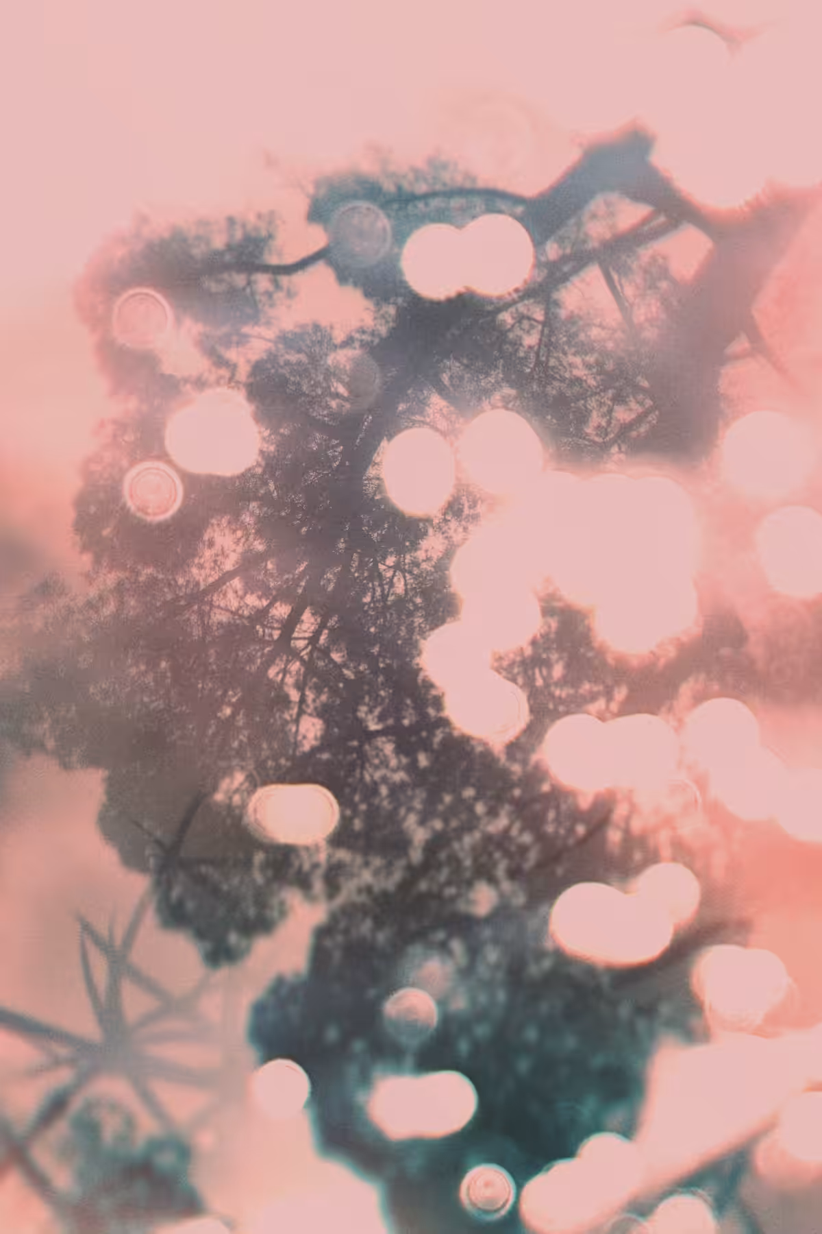 Diaries #36