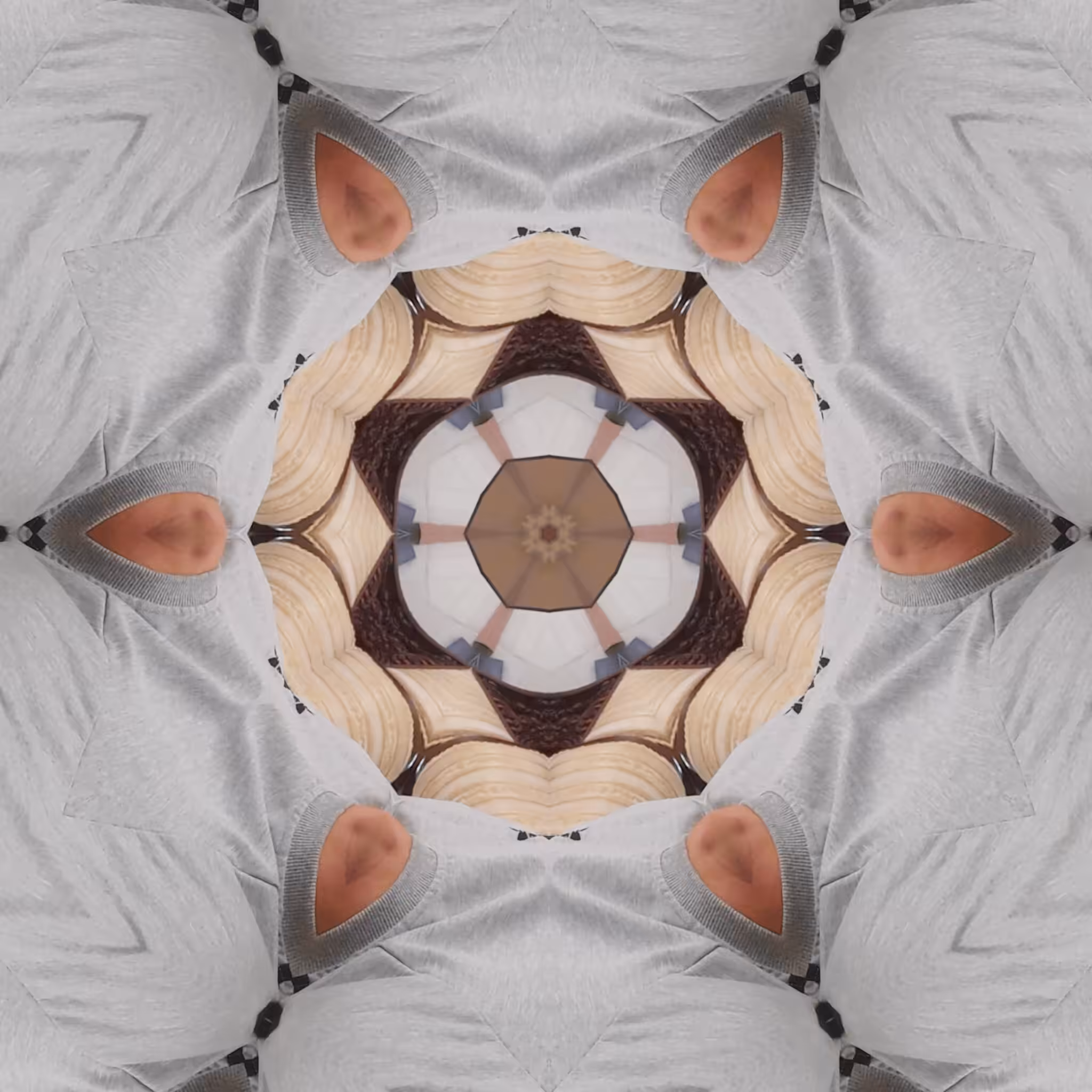 Beautiful Design