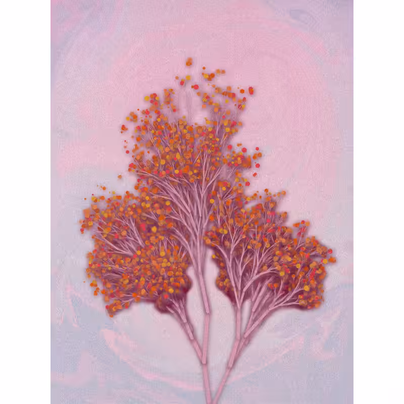 Garden of the Hesperides #51