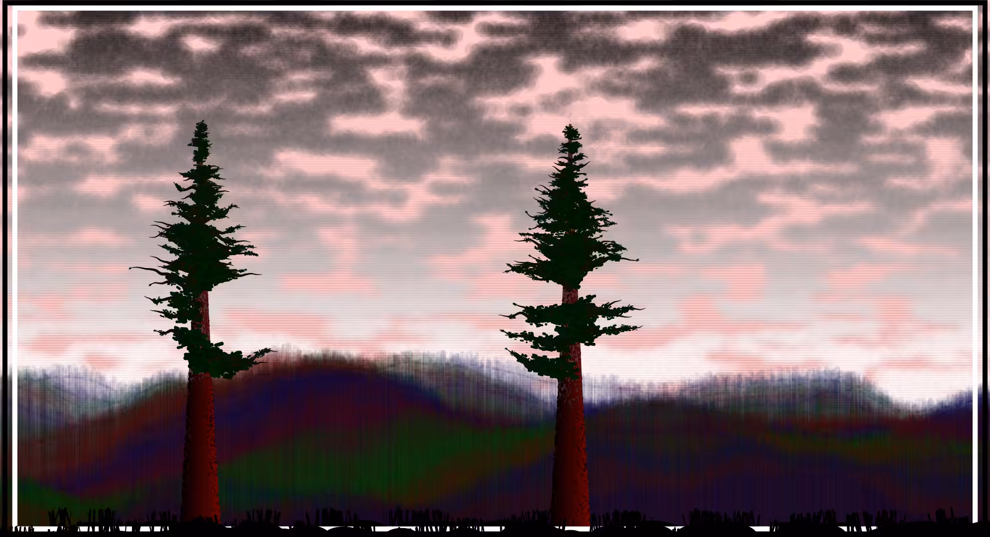 Sequoias #18