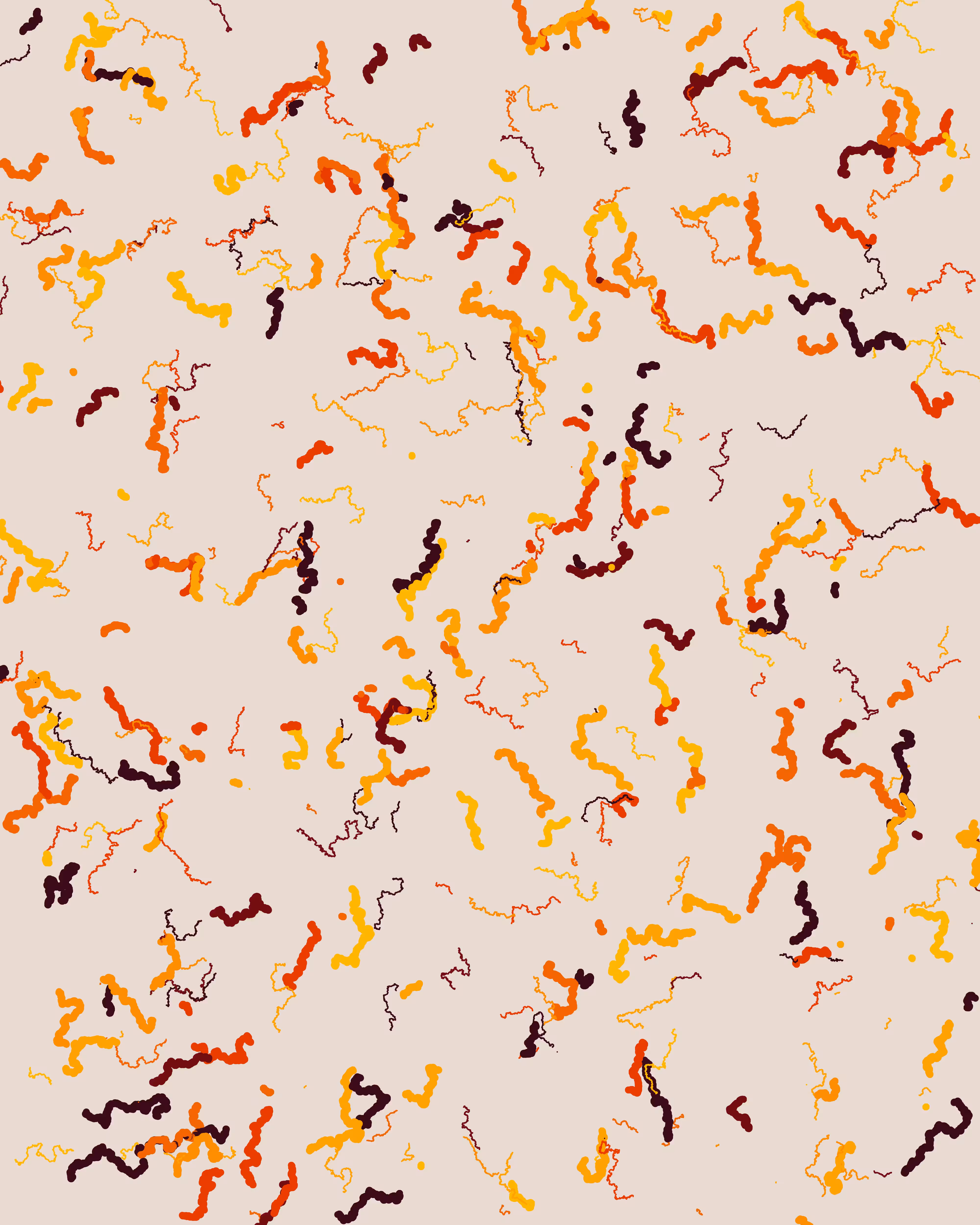 Wavelength #123