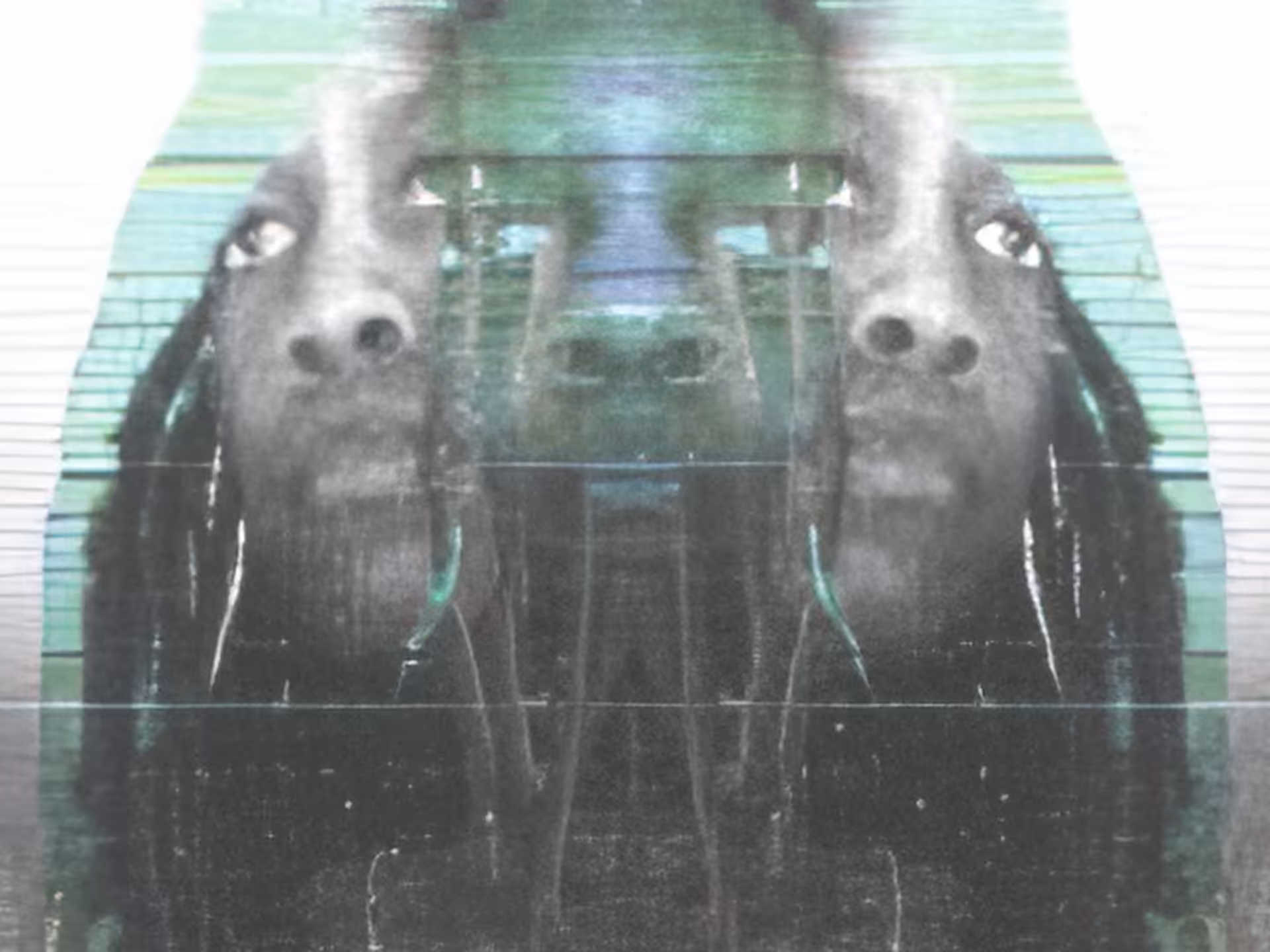 ghost.2001.11.6.19.39.0